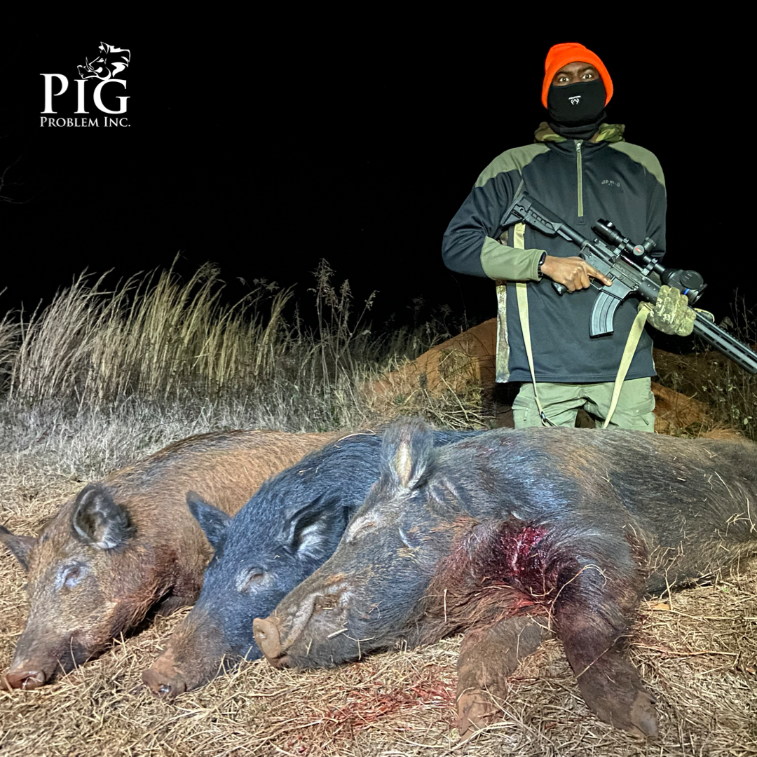 Wild Hog Hunting Americus, GA