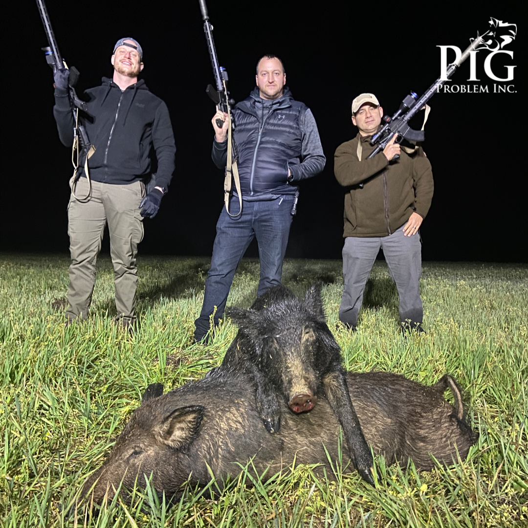Hog Hunting