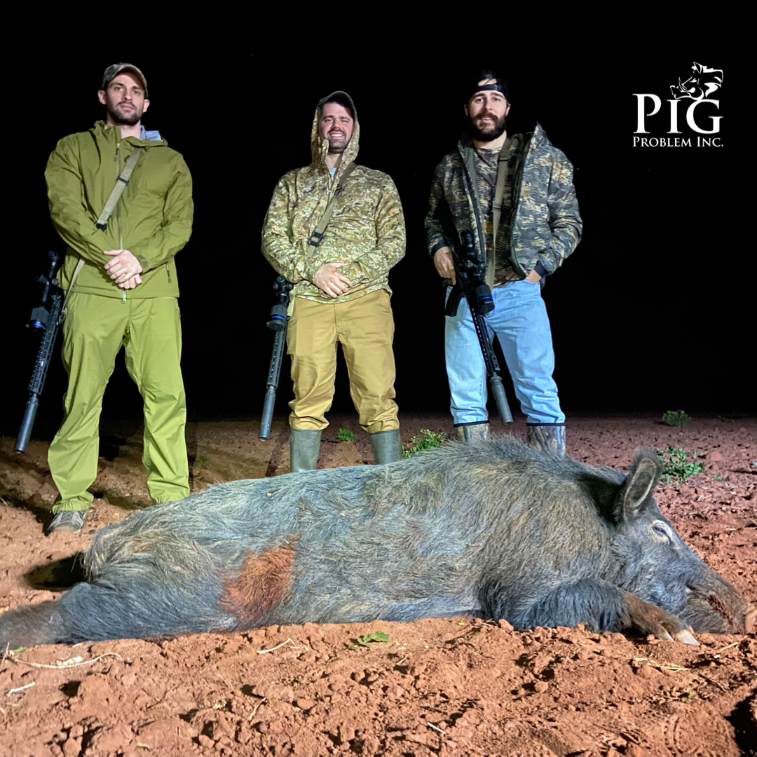 Hog Hunts SW Georgia