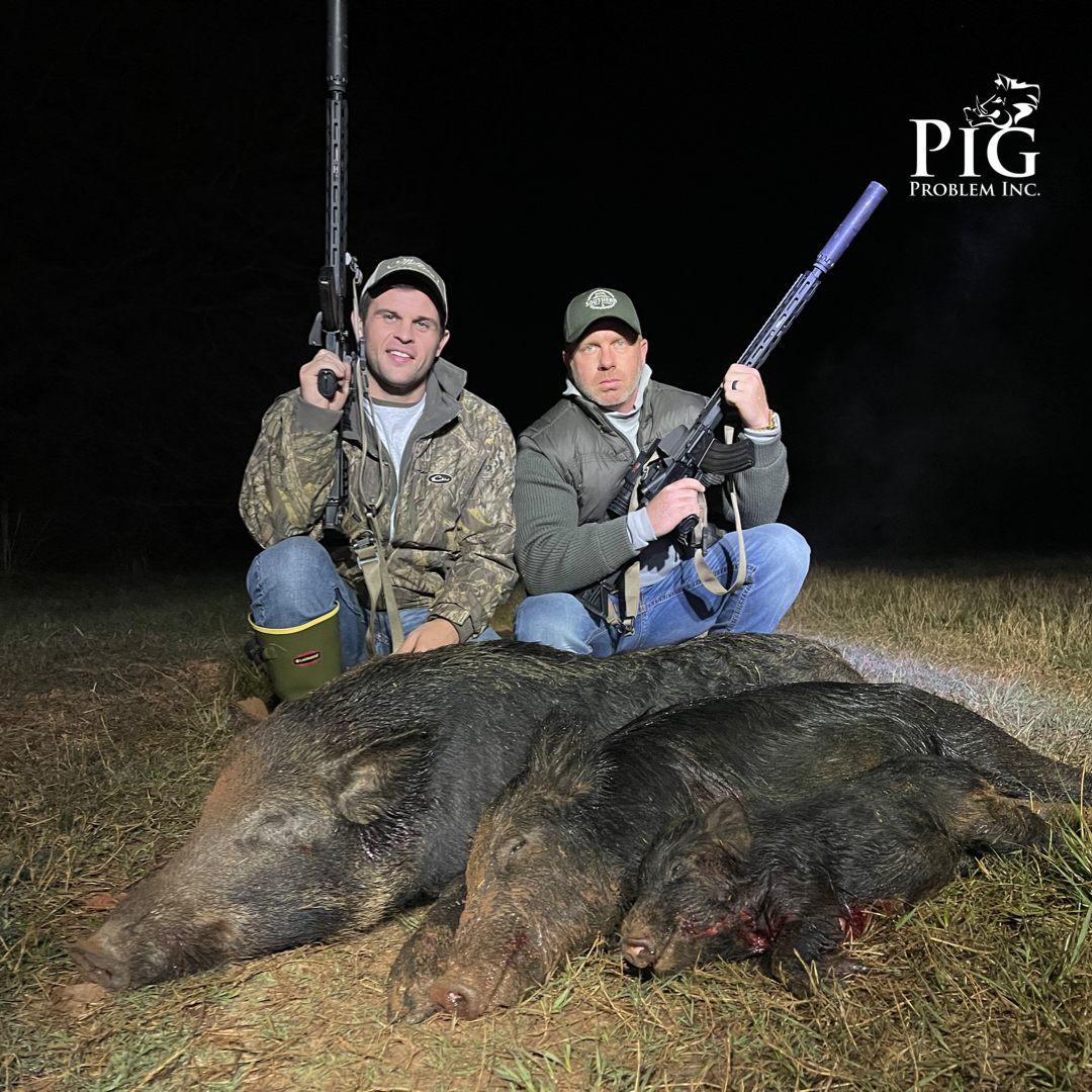 Wild Boar Hunting