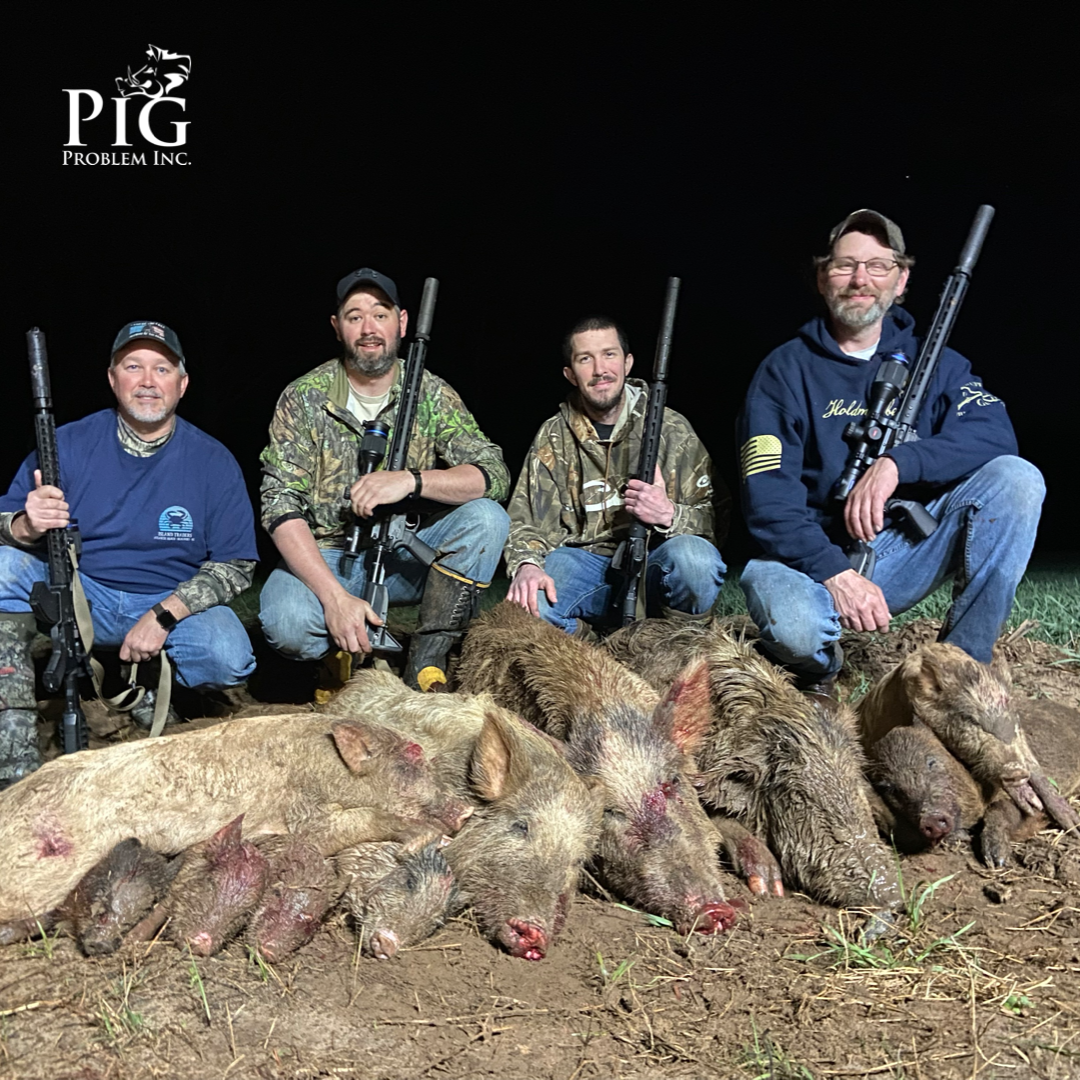 18 Hogs Down