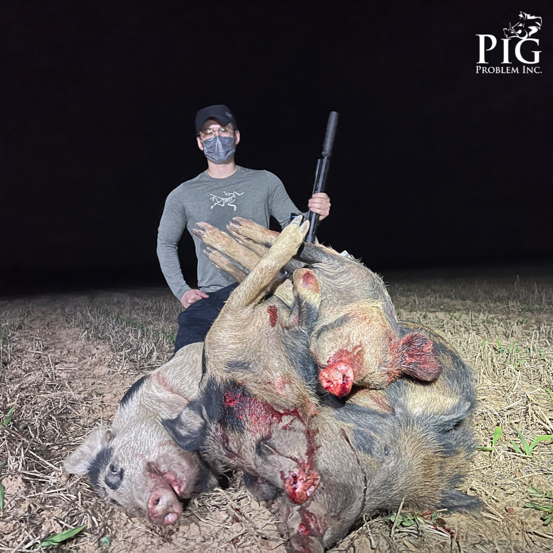 Guided Hog Hunting Americus, Georgia