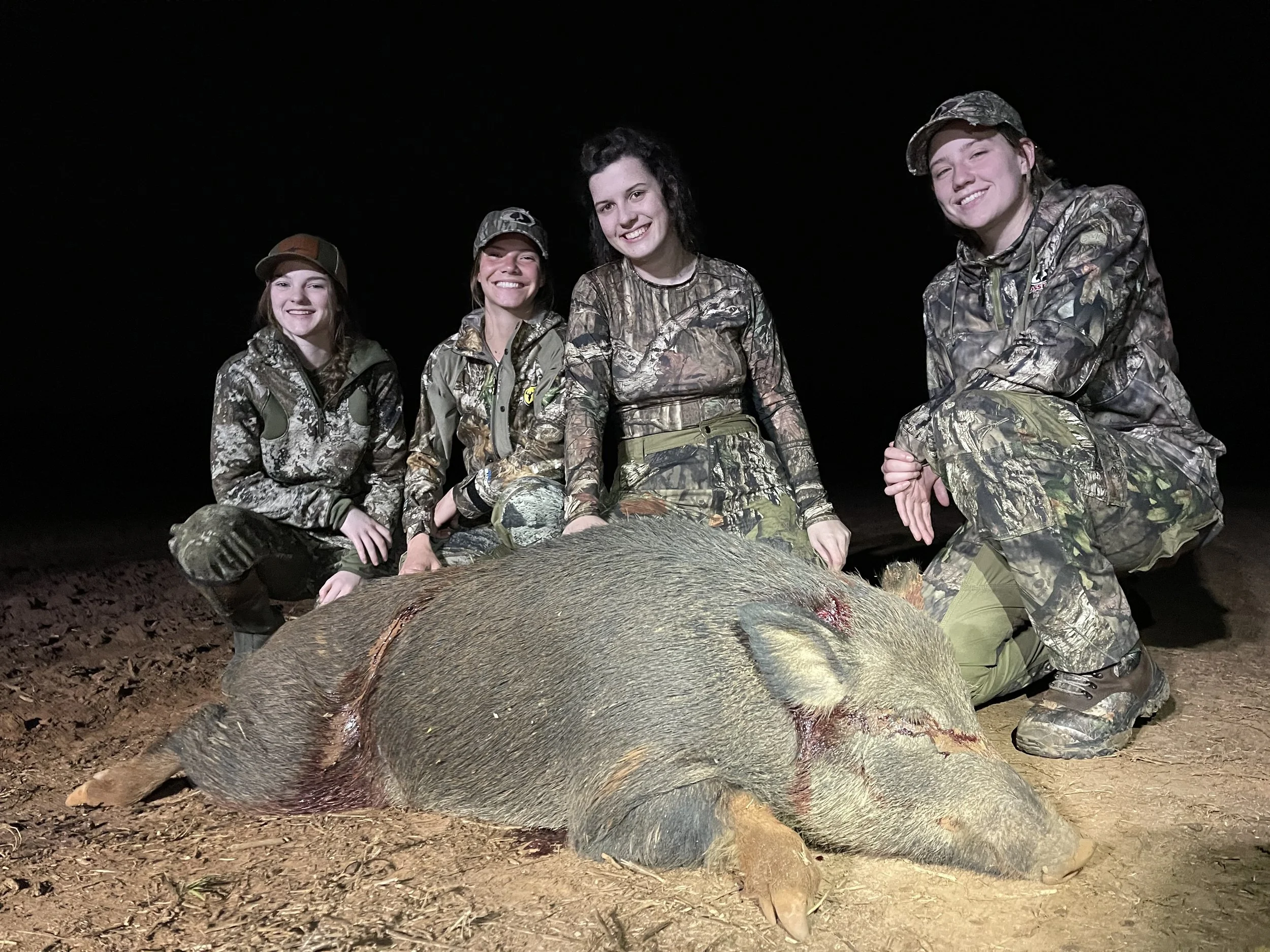 Do You Want To Hawk Hunt?