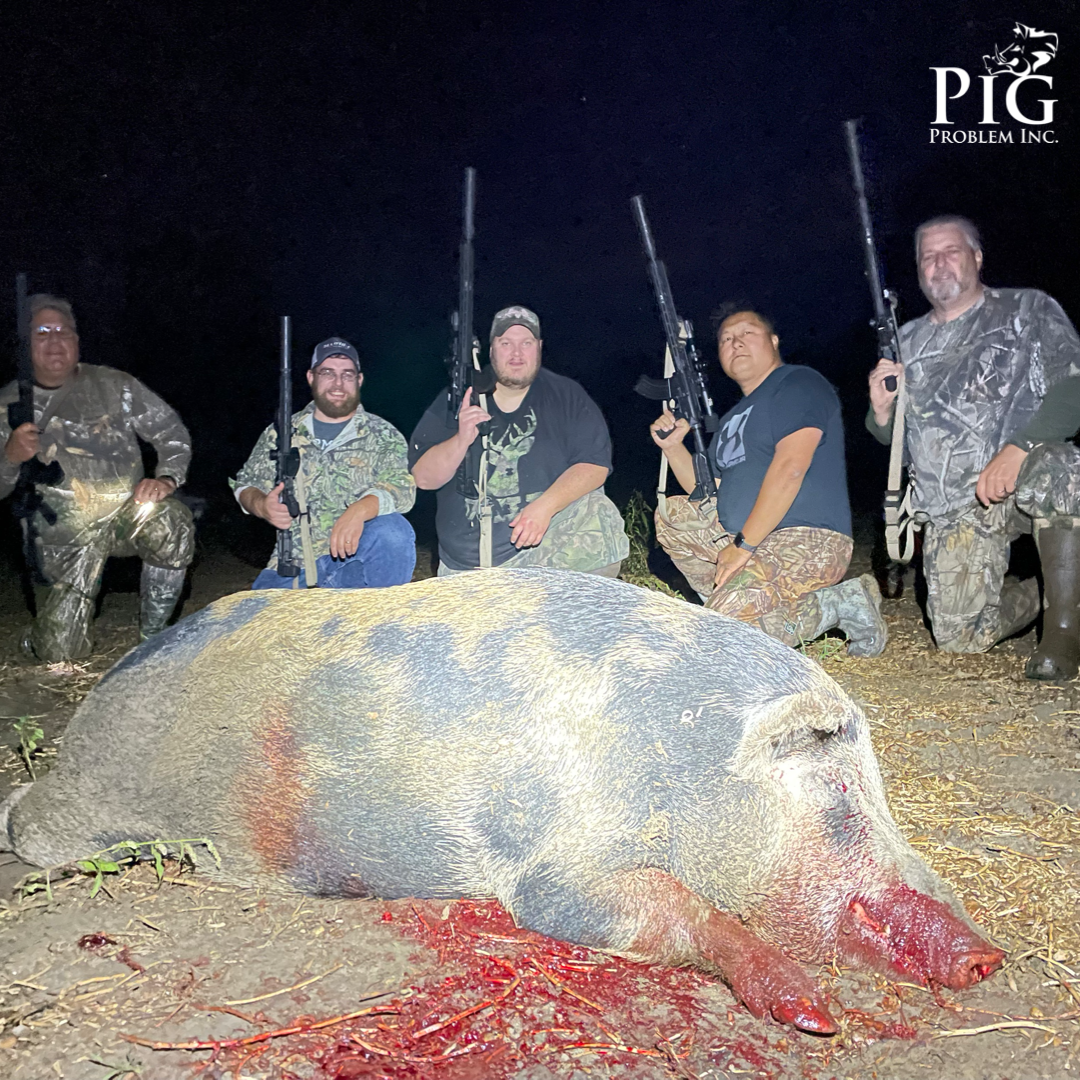 Hog Hunts In Georgia