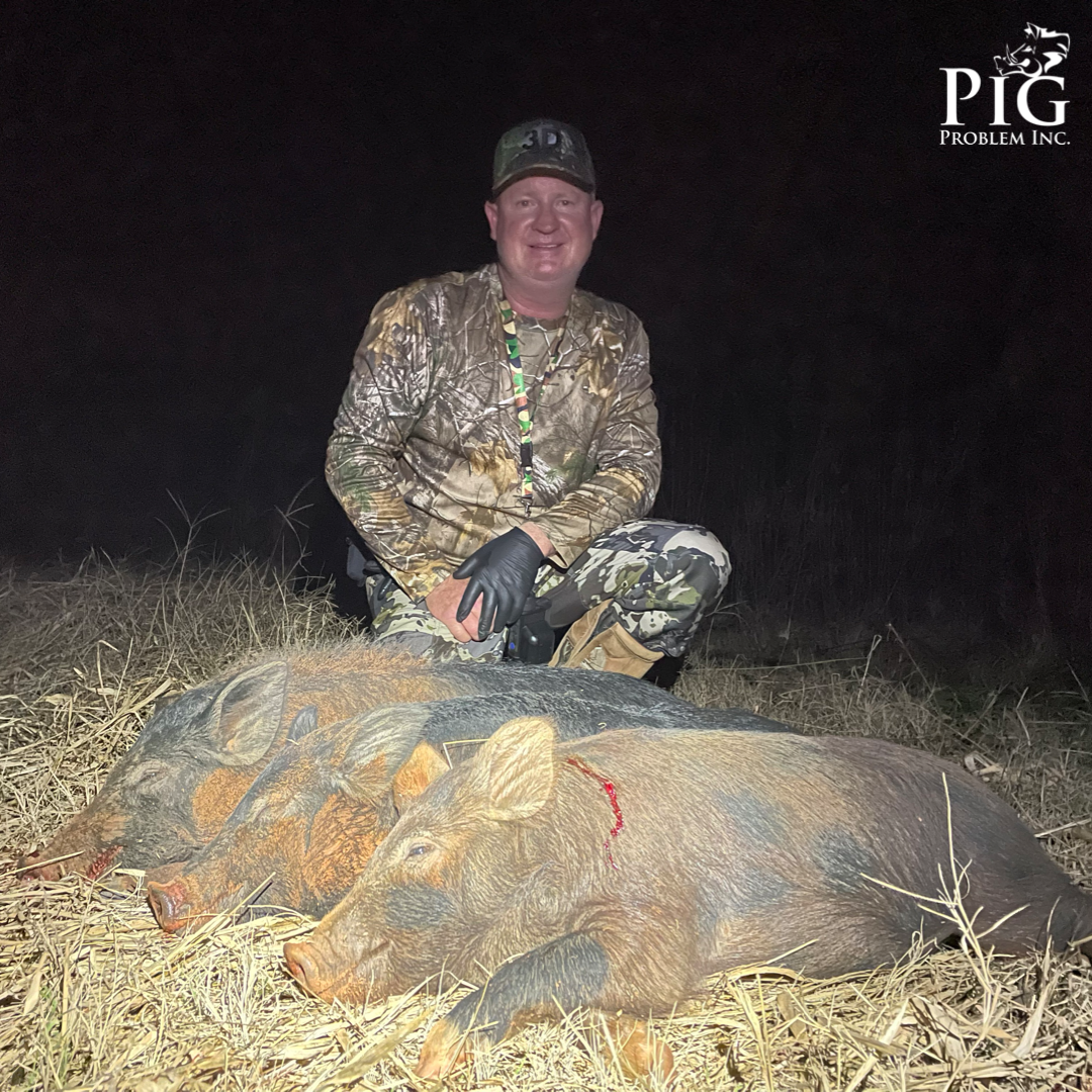Hog Hunt Georgia