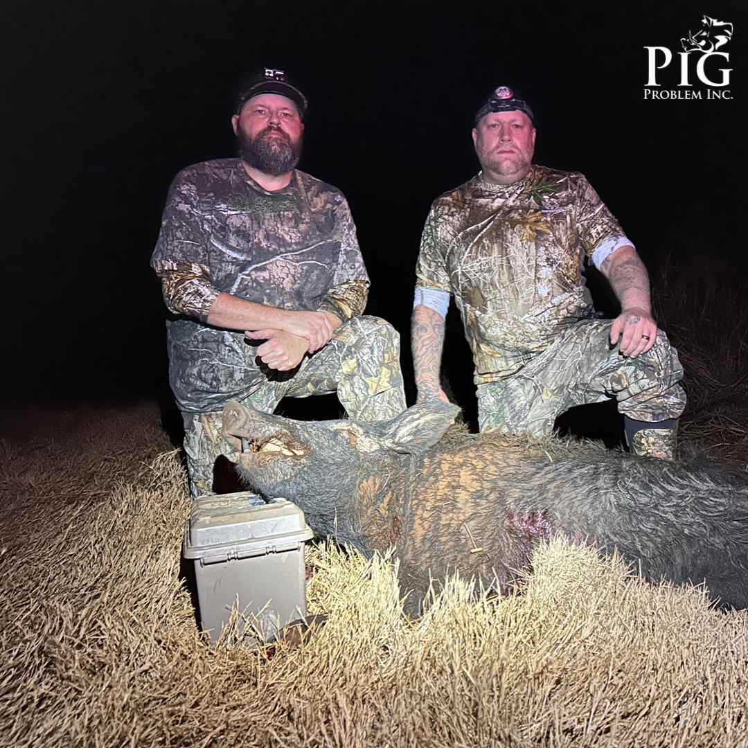 Foul Weather Didn't Stop The Hogs From Moving.  