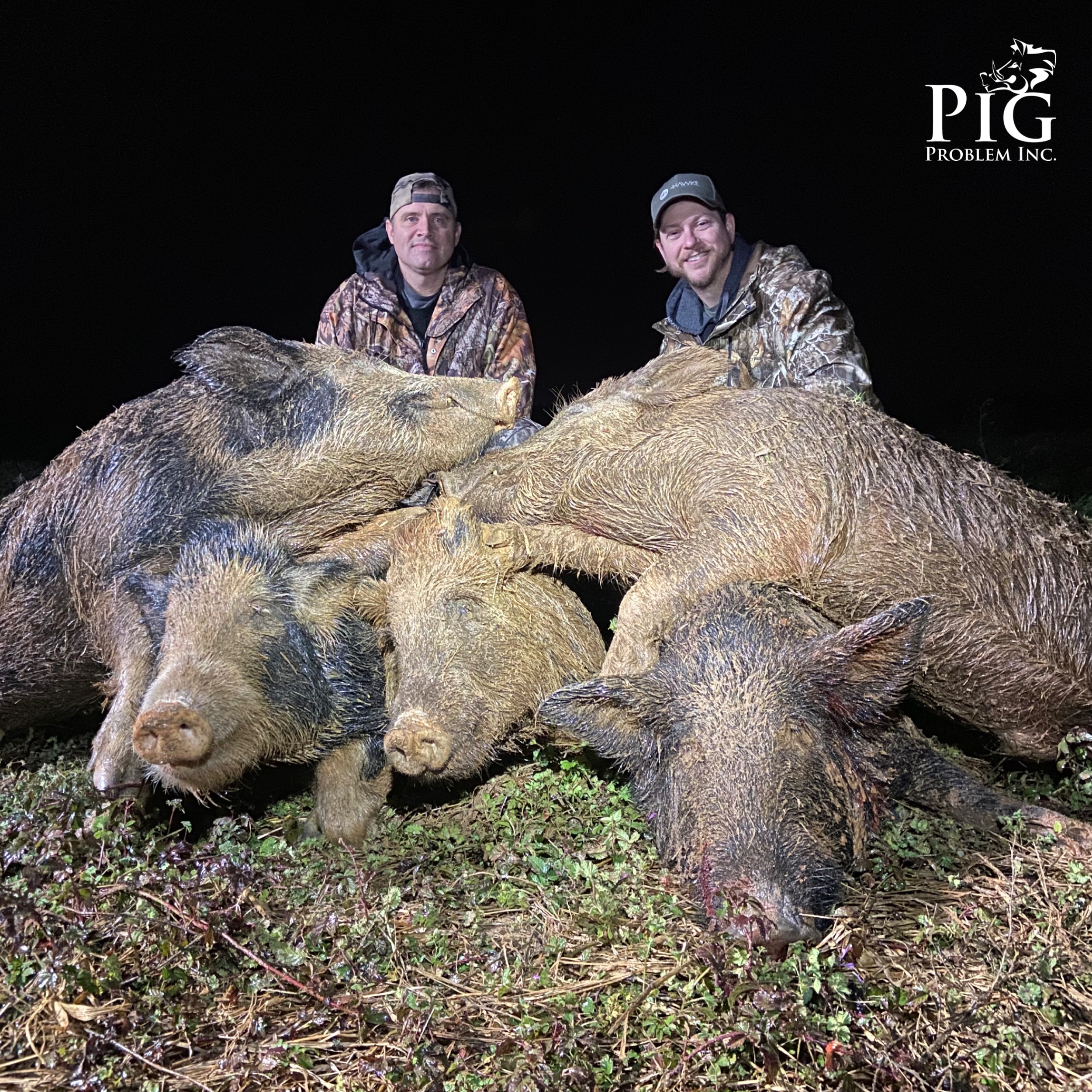 Pig Pile In Georgia