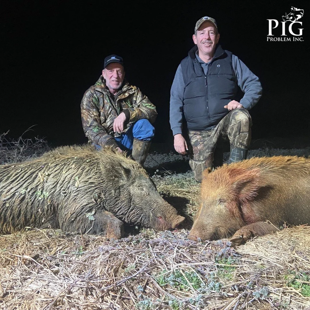 Guided Hog Hunting Americus, GA