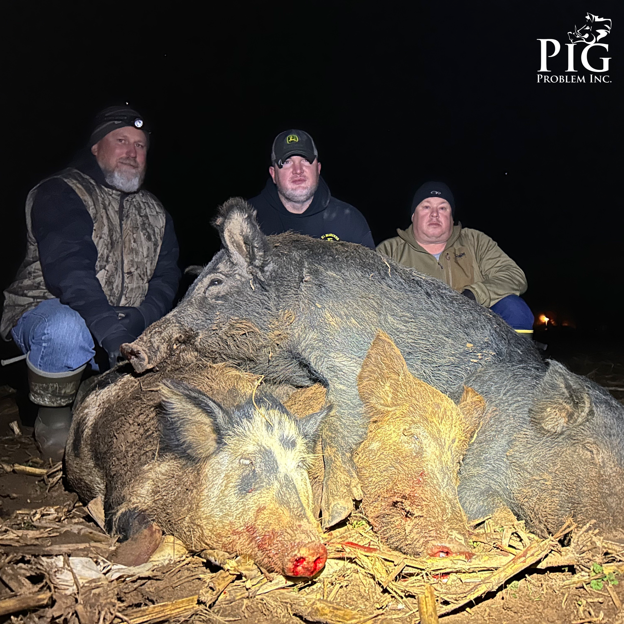 Night Hog Hunting In Georgia