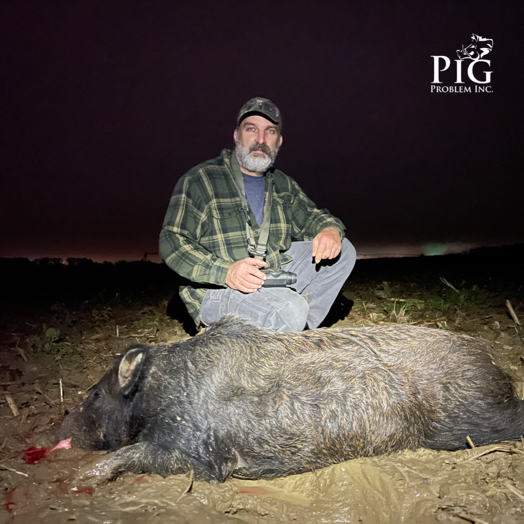 Wild Hog Hunting