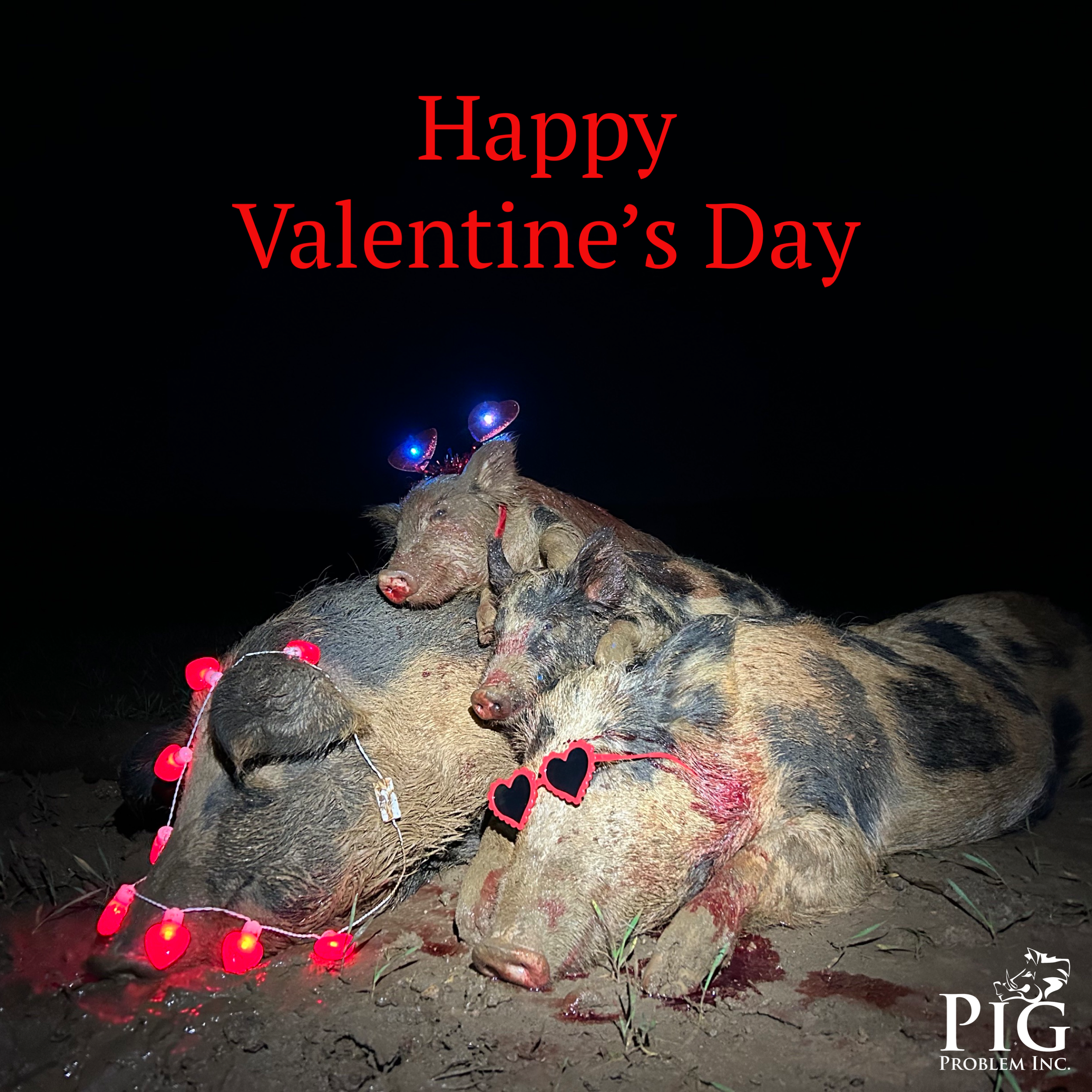 Happy Valentine's Day