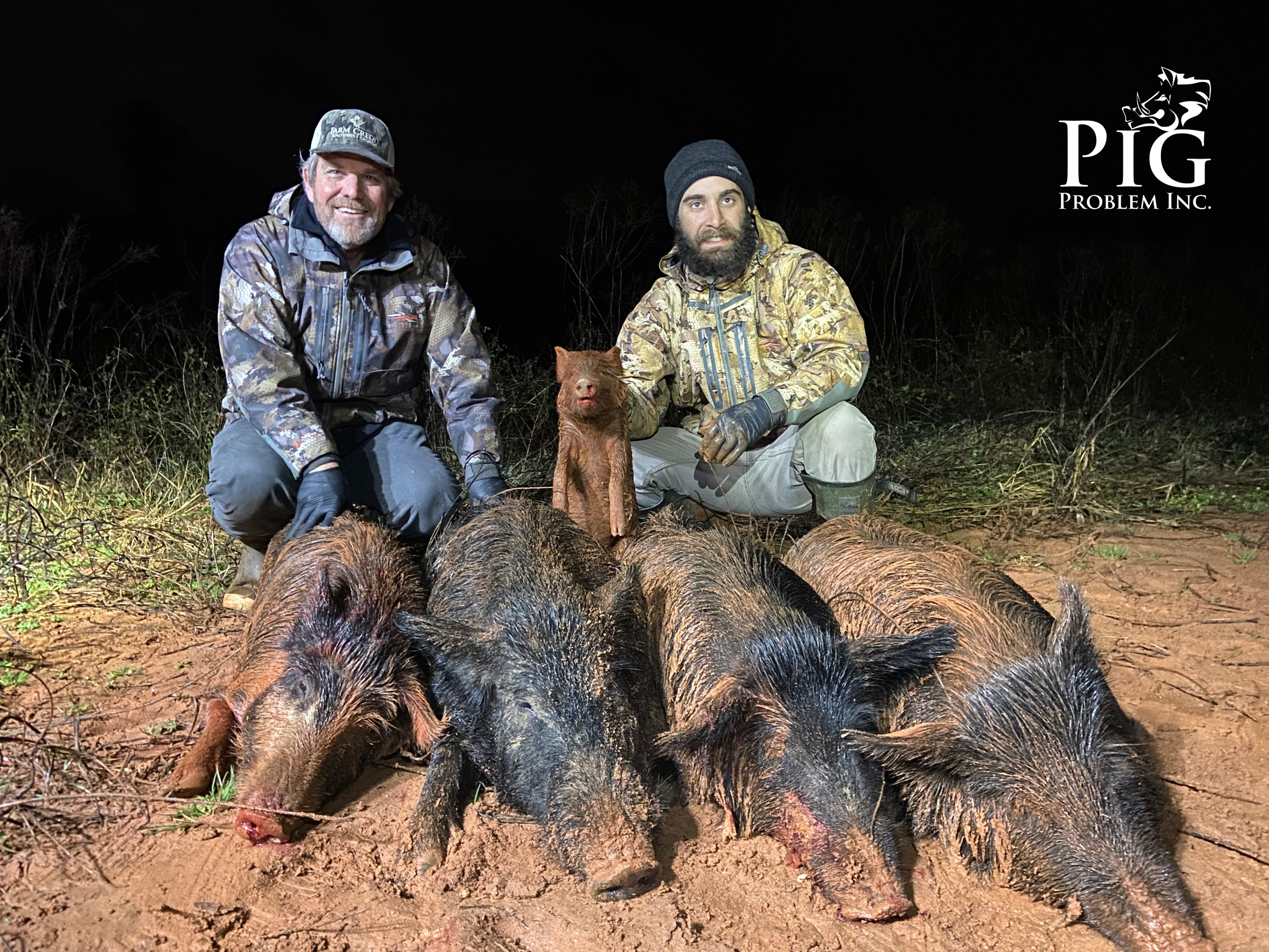 9 Hogs Down