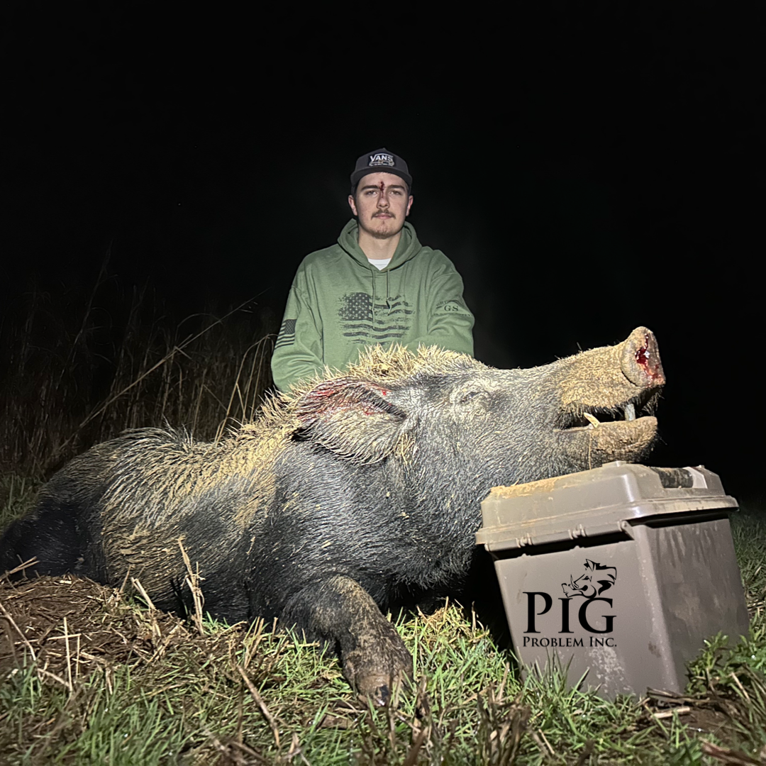 Wild Boar Hunts