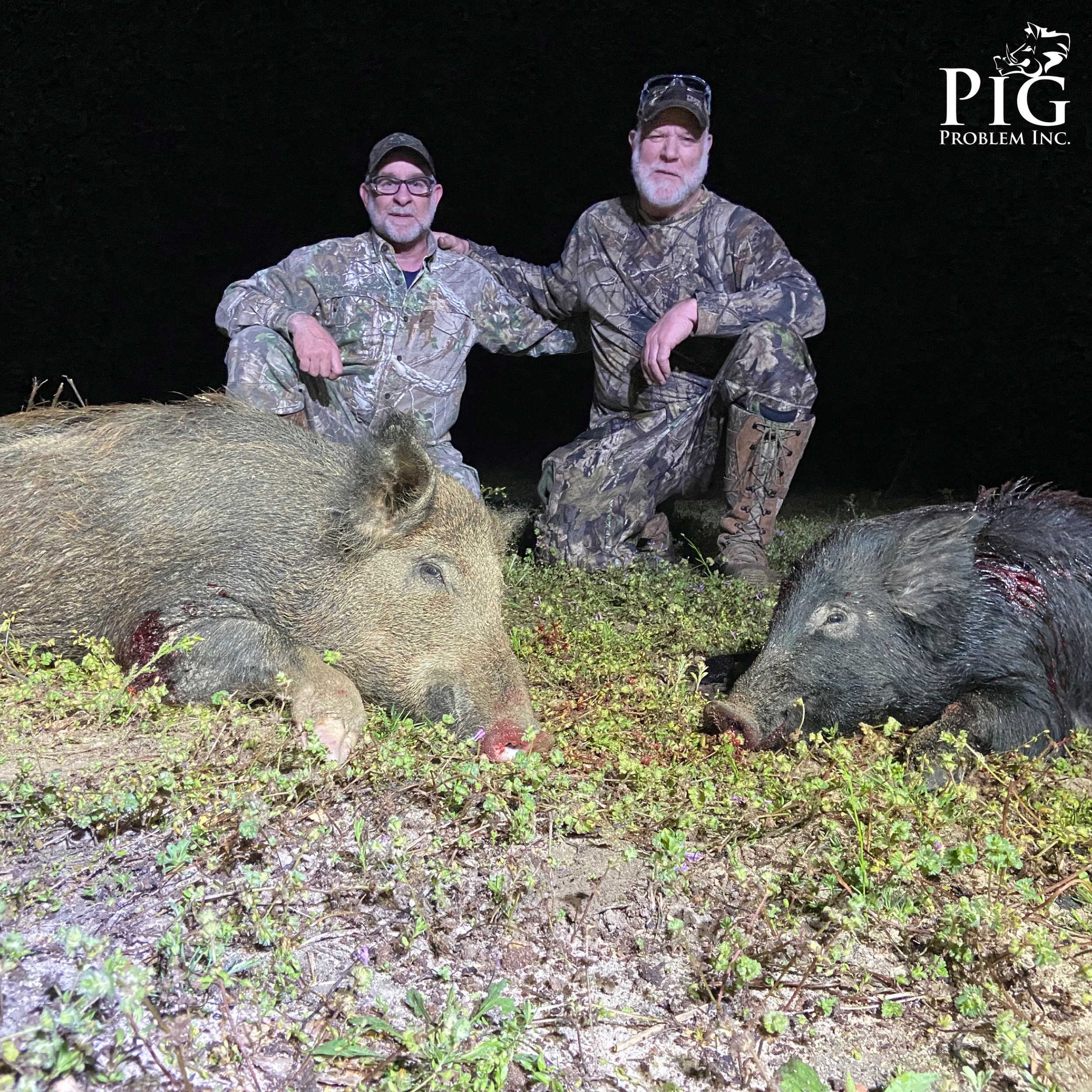 Wild Hog Hunting In Georgia