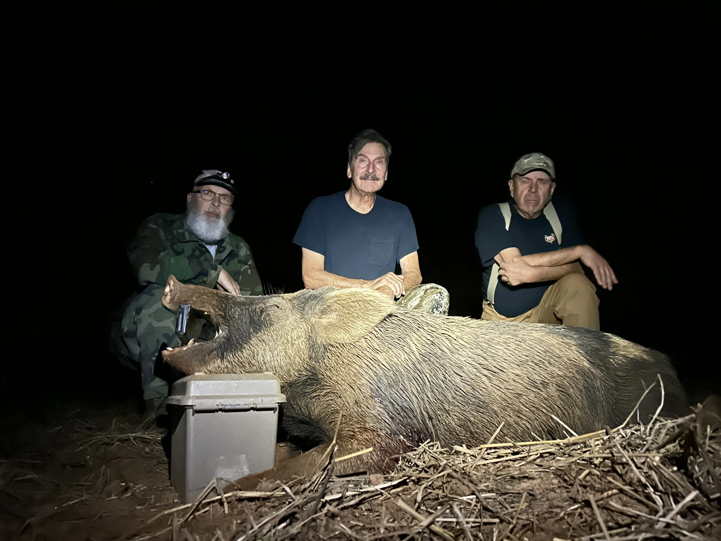 Hog Hunting 