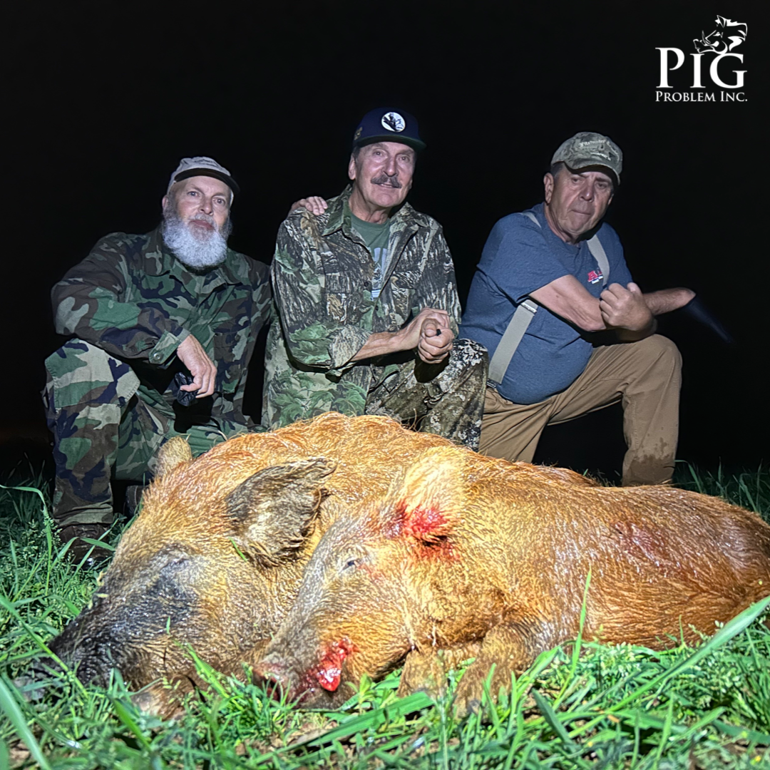 Hog Hunting