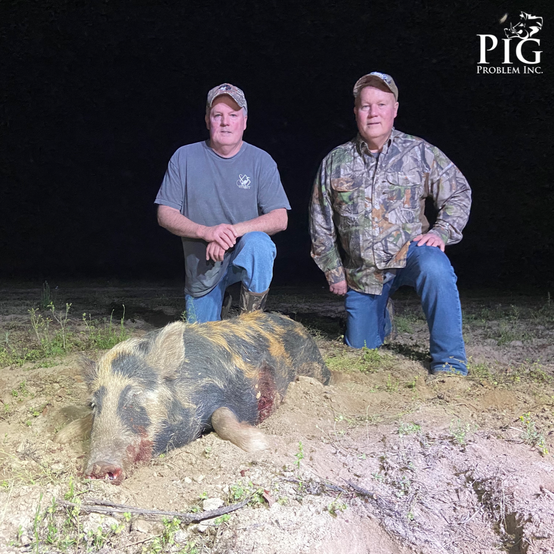 Wild Hogs In Georgia