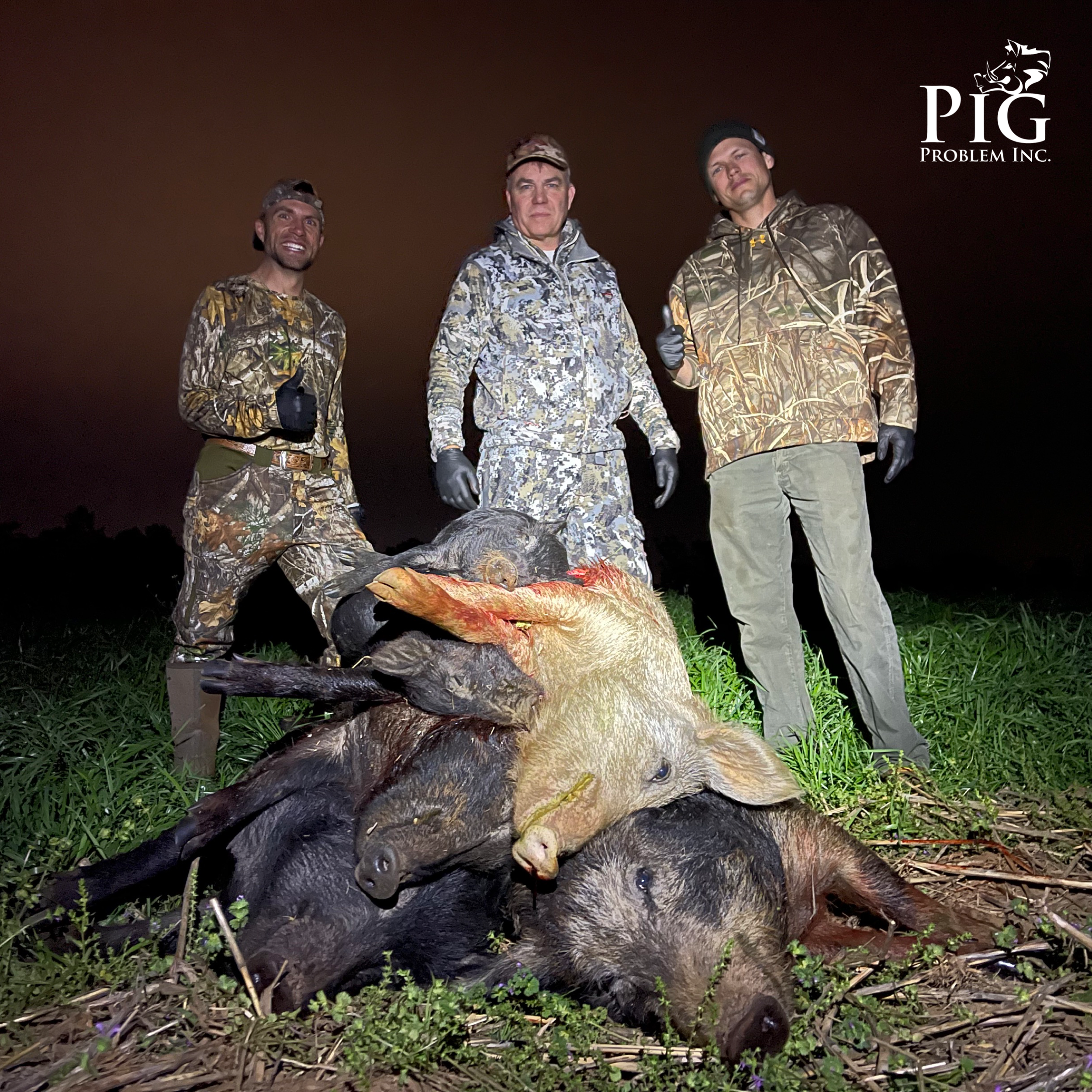 10 Hogs Down in Americus, Georgia