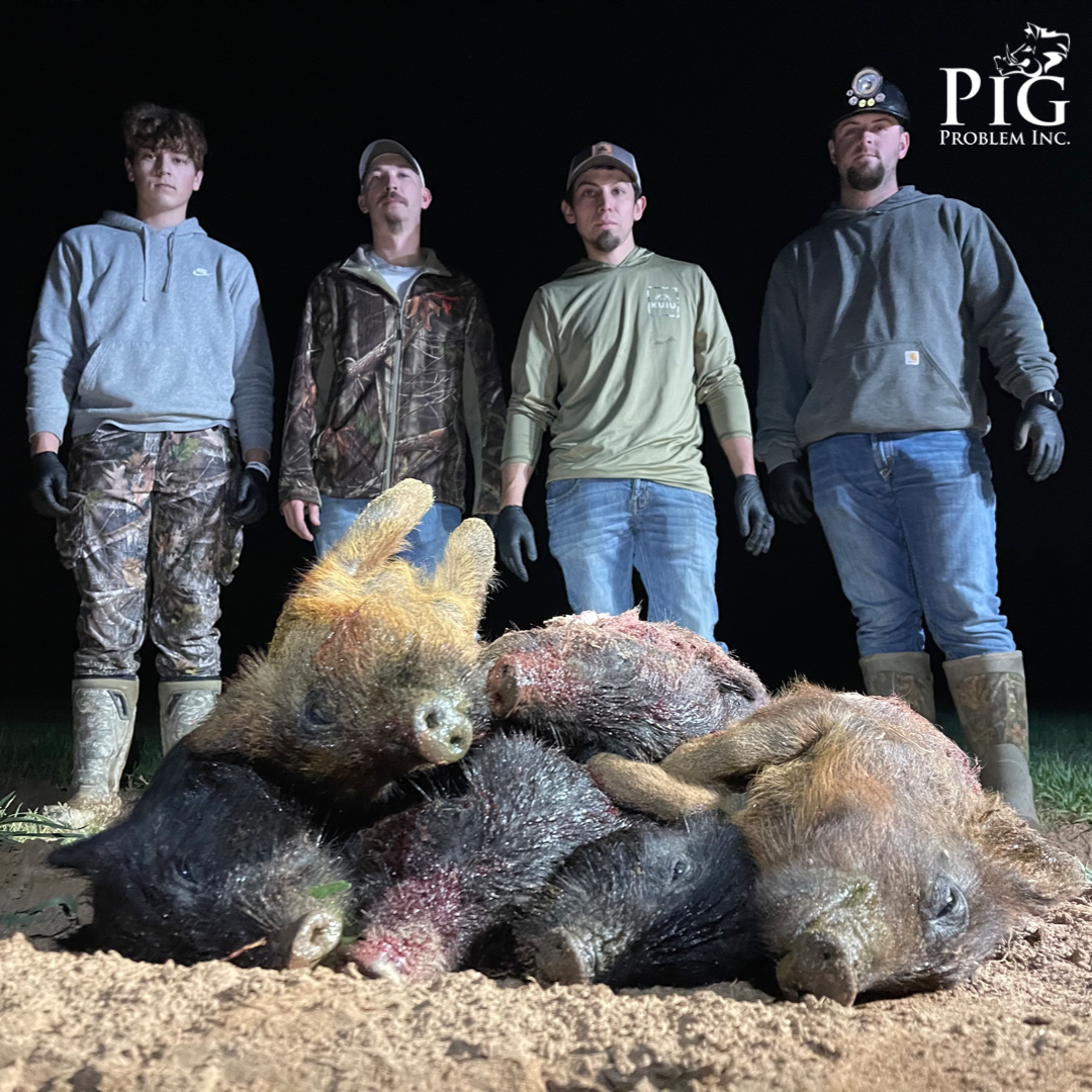 2.5 Hogs Down