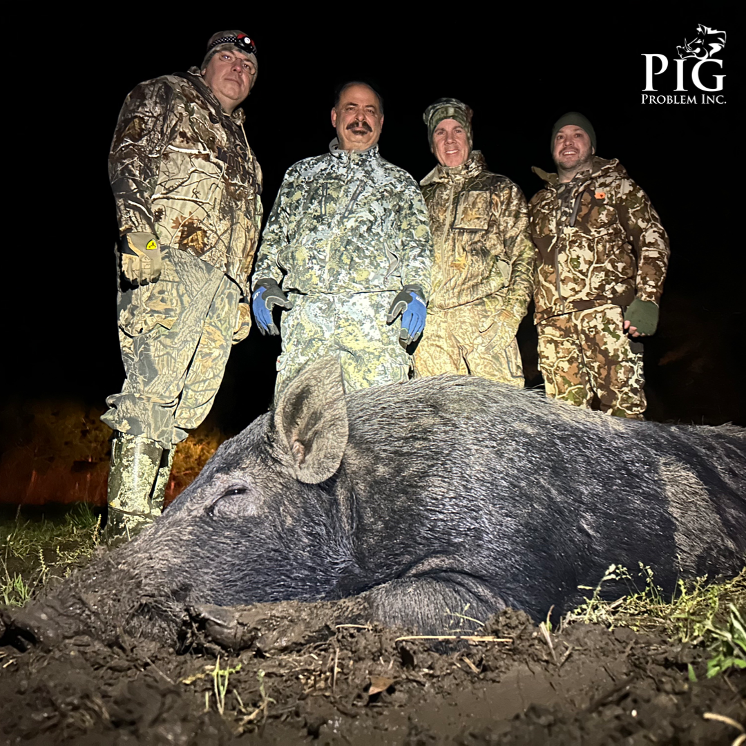 Georgia Hog Hunts