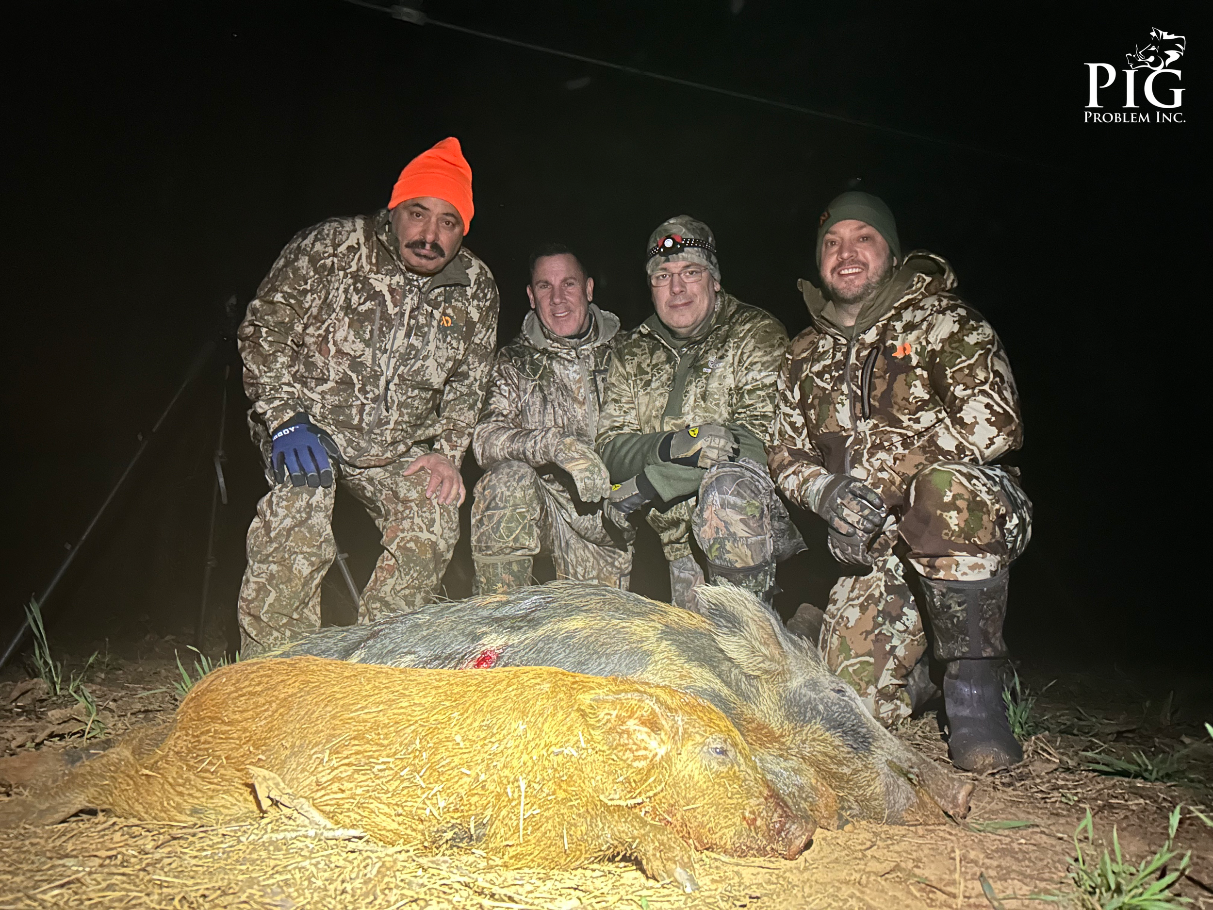 Night Hunts
