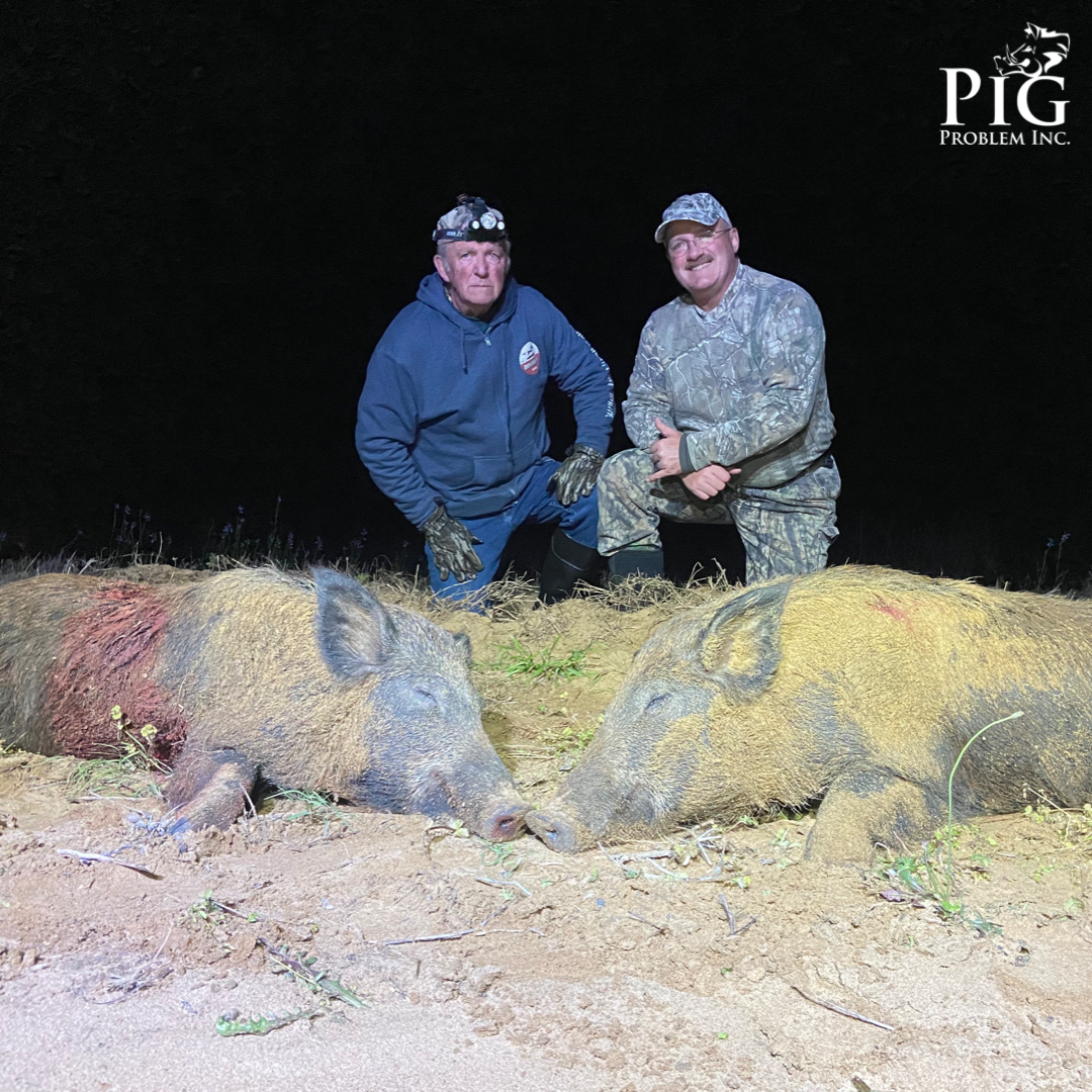 Hog Hunts In Georgia