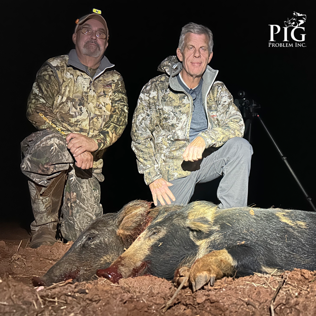 Wild Hog Hunts