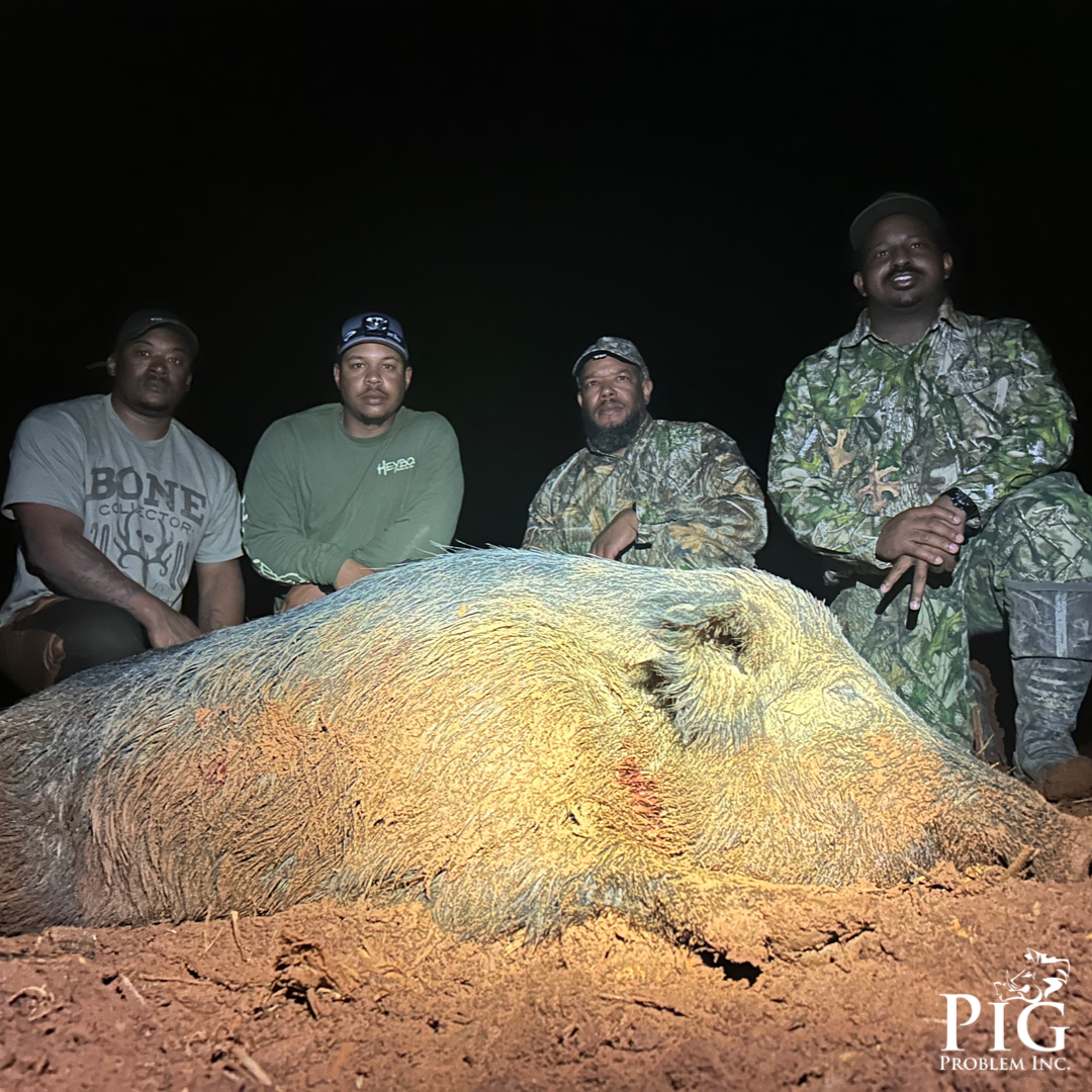Thermal Hog Hunting