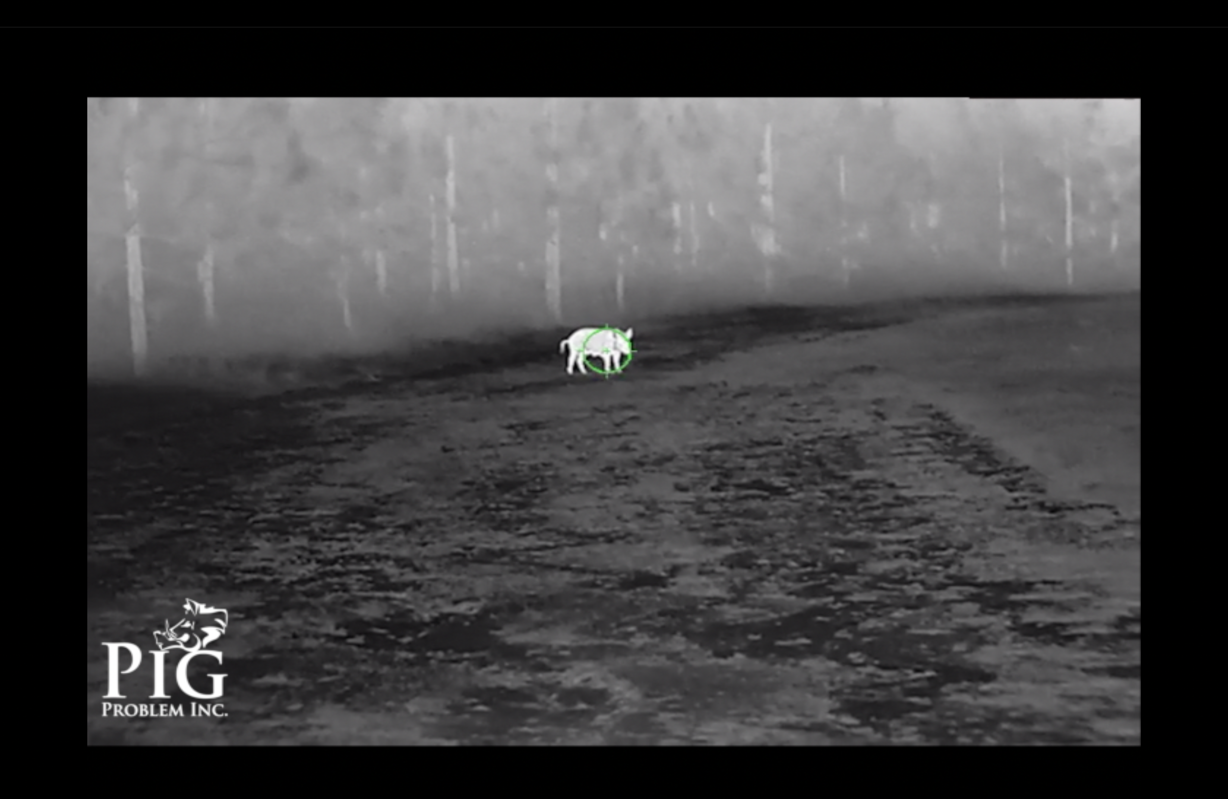 Videos Of Thermal Hog Hunting
