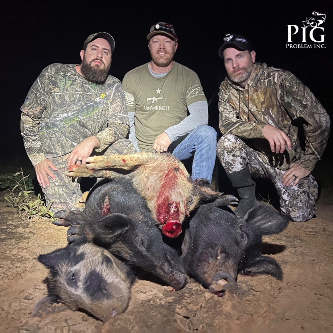 Pig Pile
