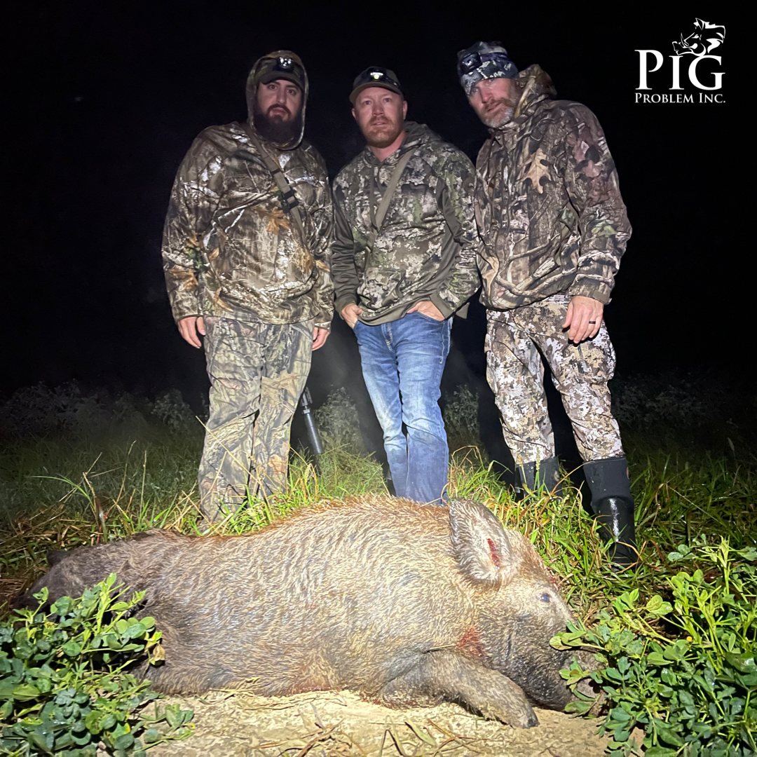 Guns, Hogs, and Coyotes... Oh My