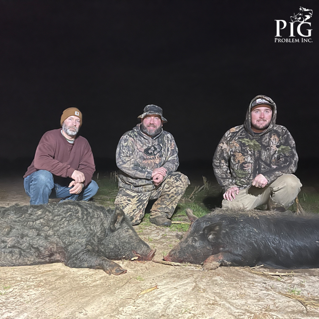 Family Hog Hunting
