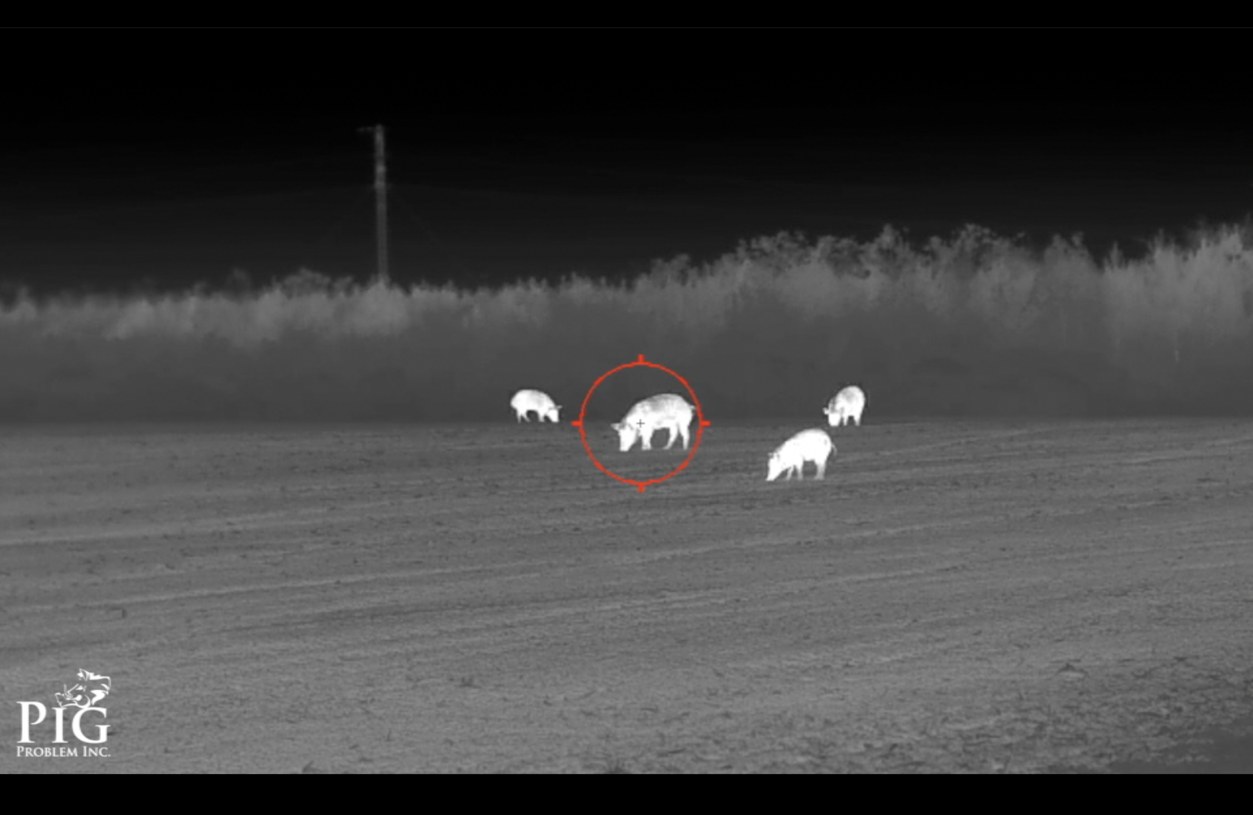 November Recap **VIDEO**