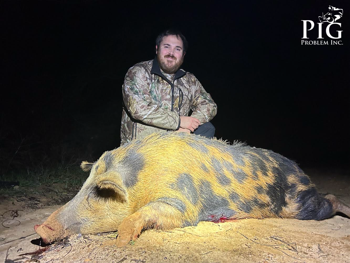 The Notorious P.I.G. (Hog Hypnotize 2024 Remastered)