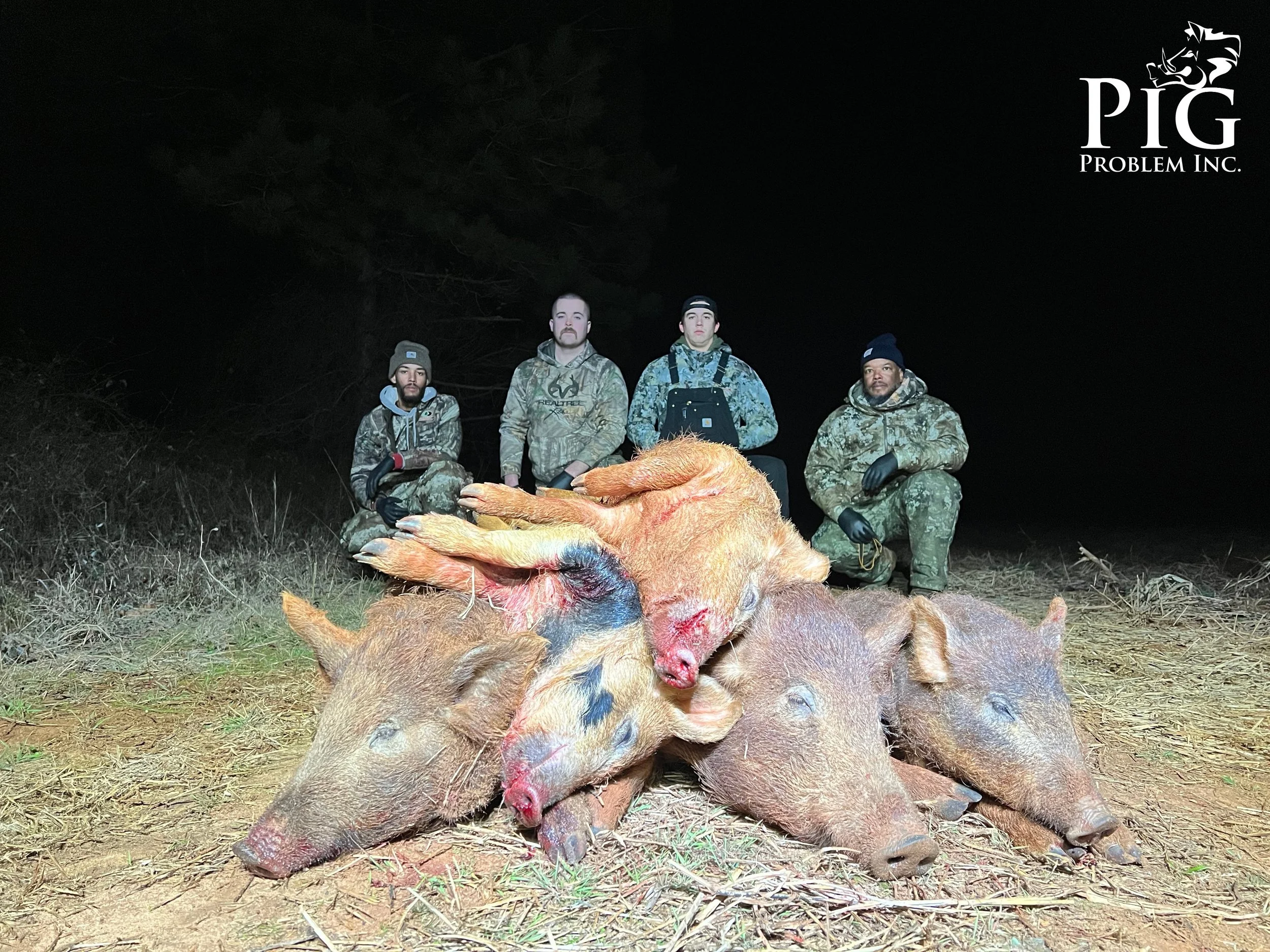 Wild Boar Hunting