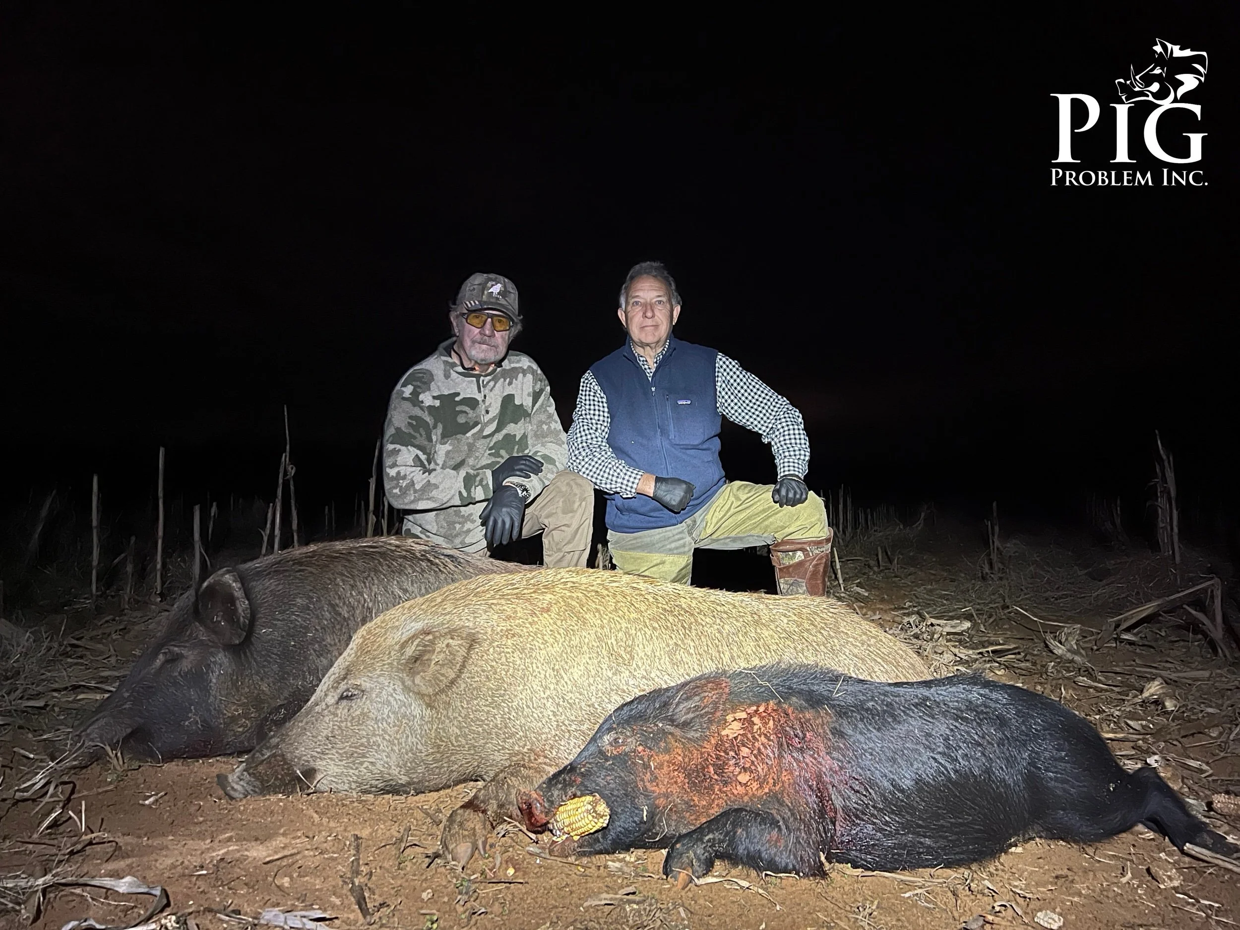 Wild Hog Hunting