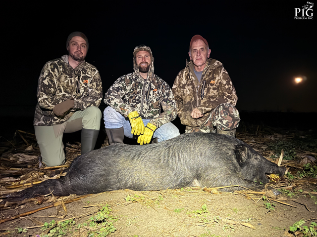 Hunting Wild Hogs In Georgia 