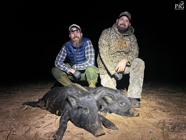 Wild Hog Hunting In Georgia