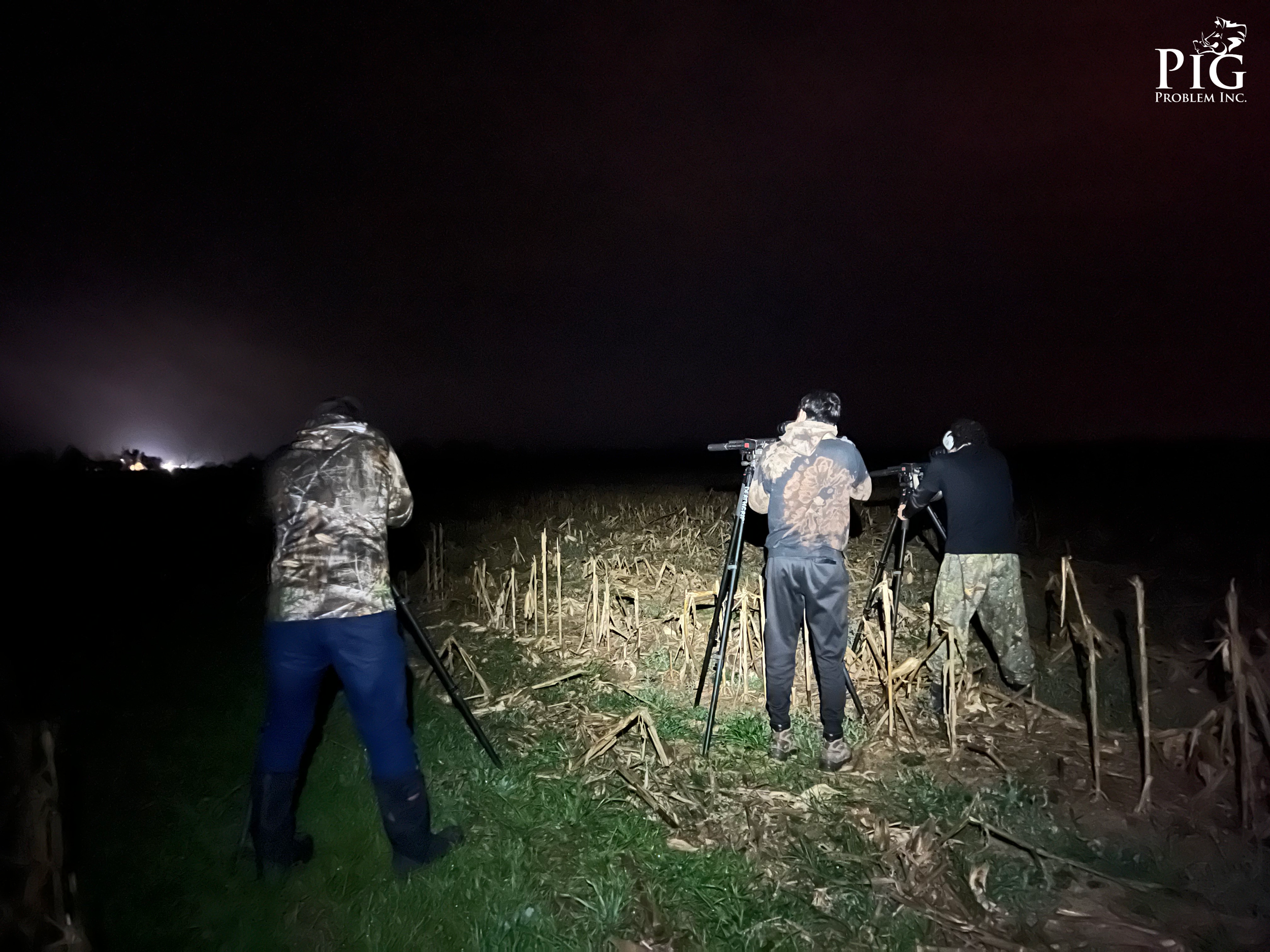 Hunting a Sounder of Wild Hogs