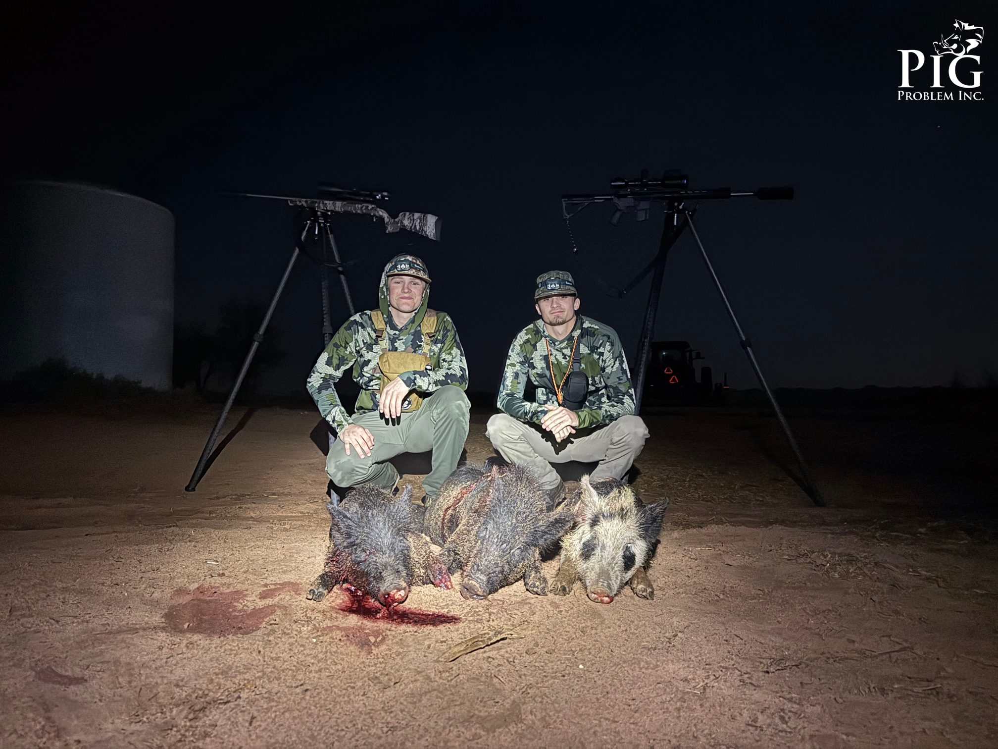 Hogs Hunting During Planting Season In Americus, Georgia