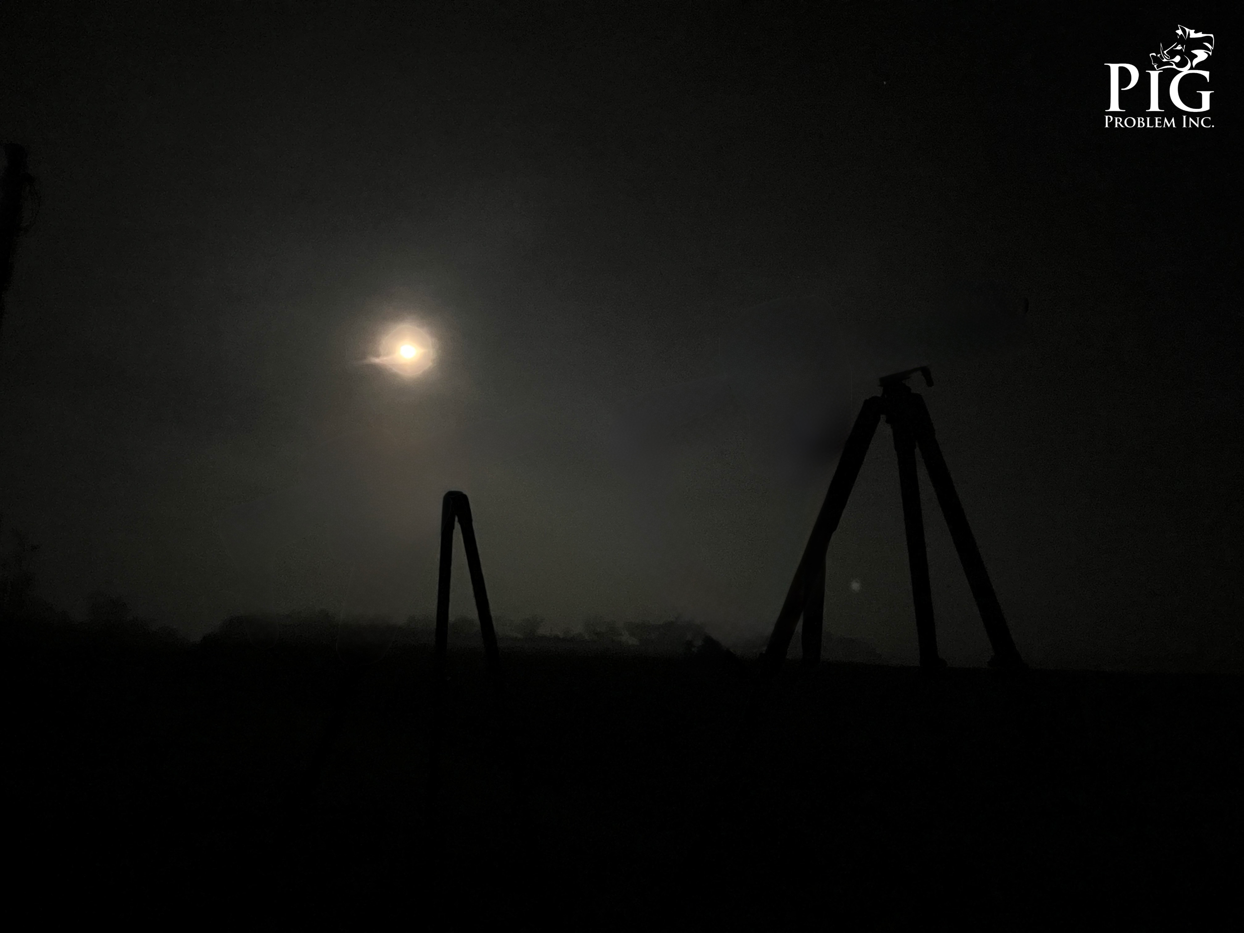 Night Hunting In Georgia