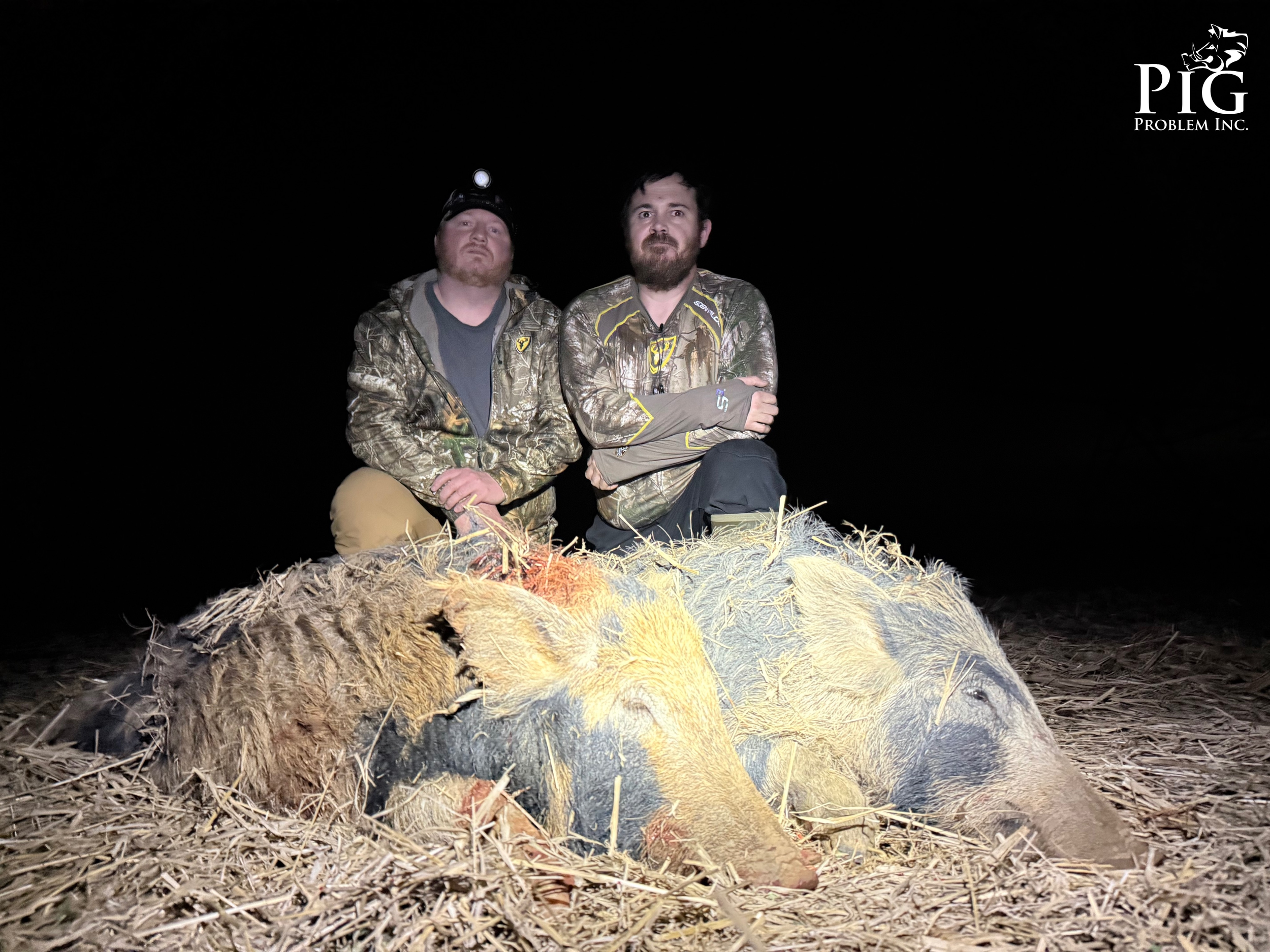 Wild Hog Hunting Georgia