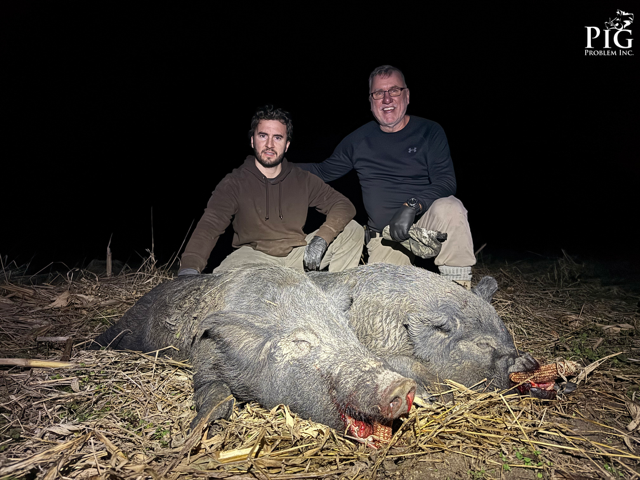 Boar Hunting