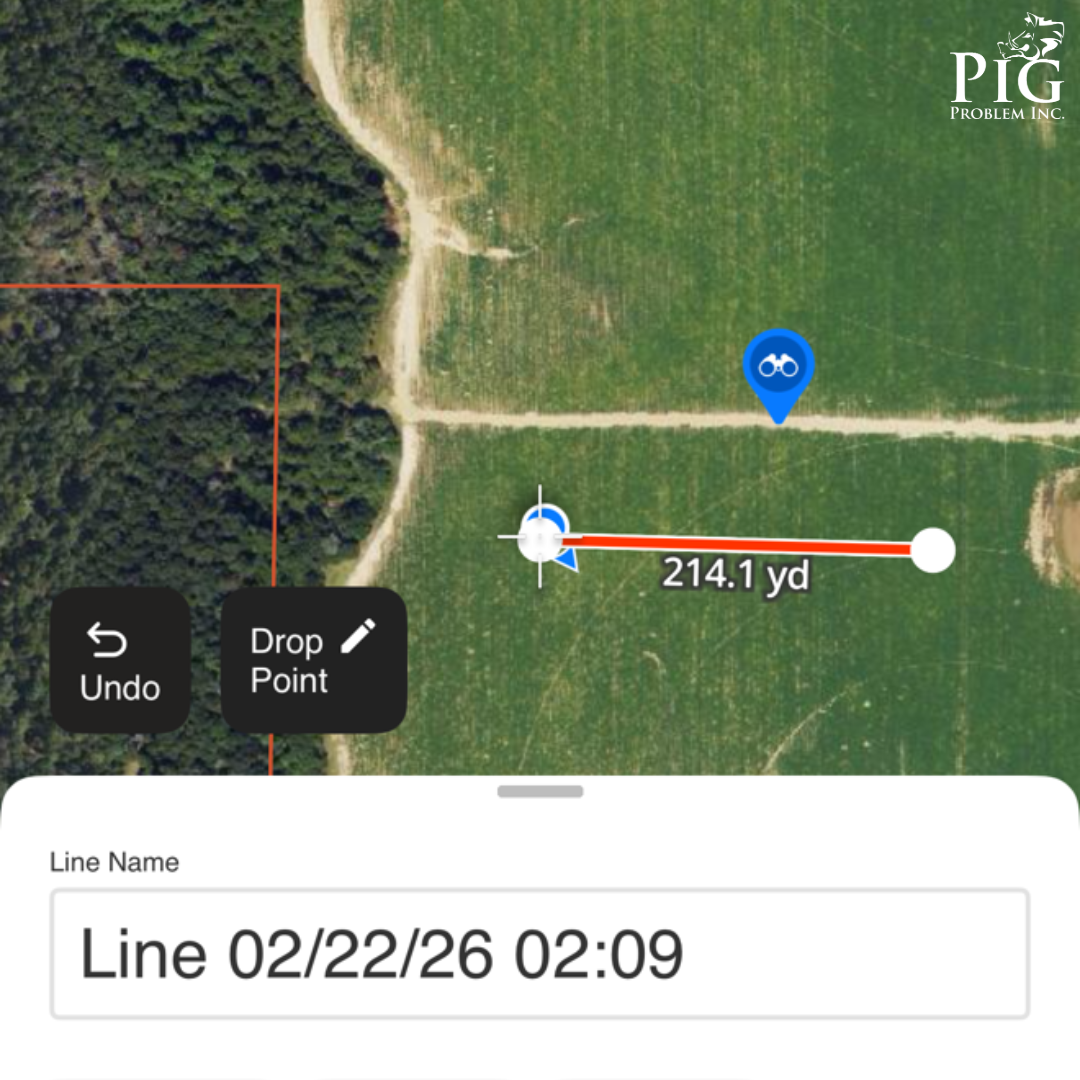 Long Range Hog Hunts