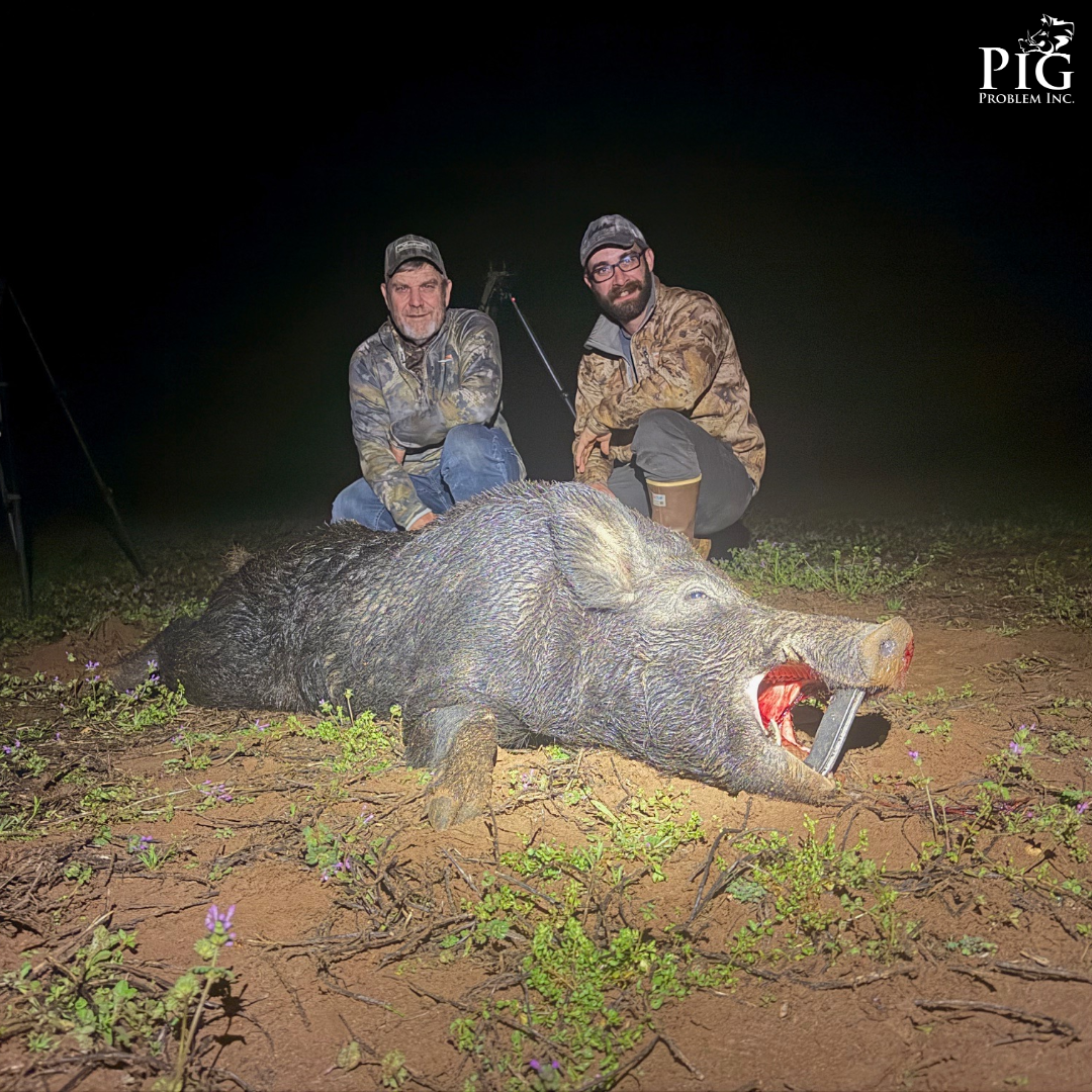 Georgia Hog Hunting