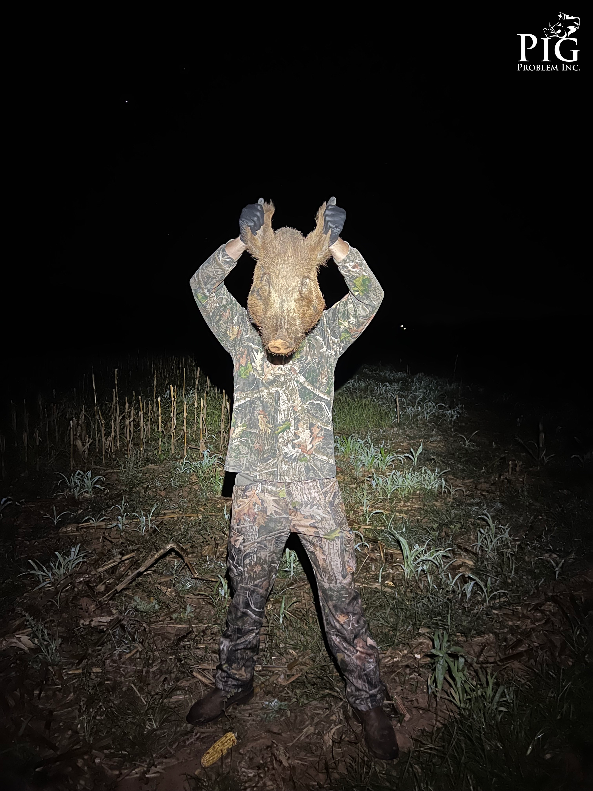 Boar Hunting