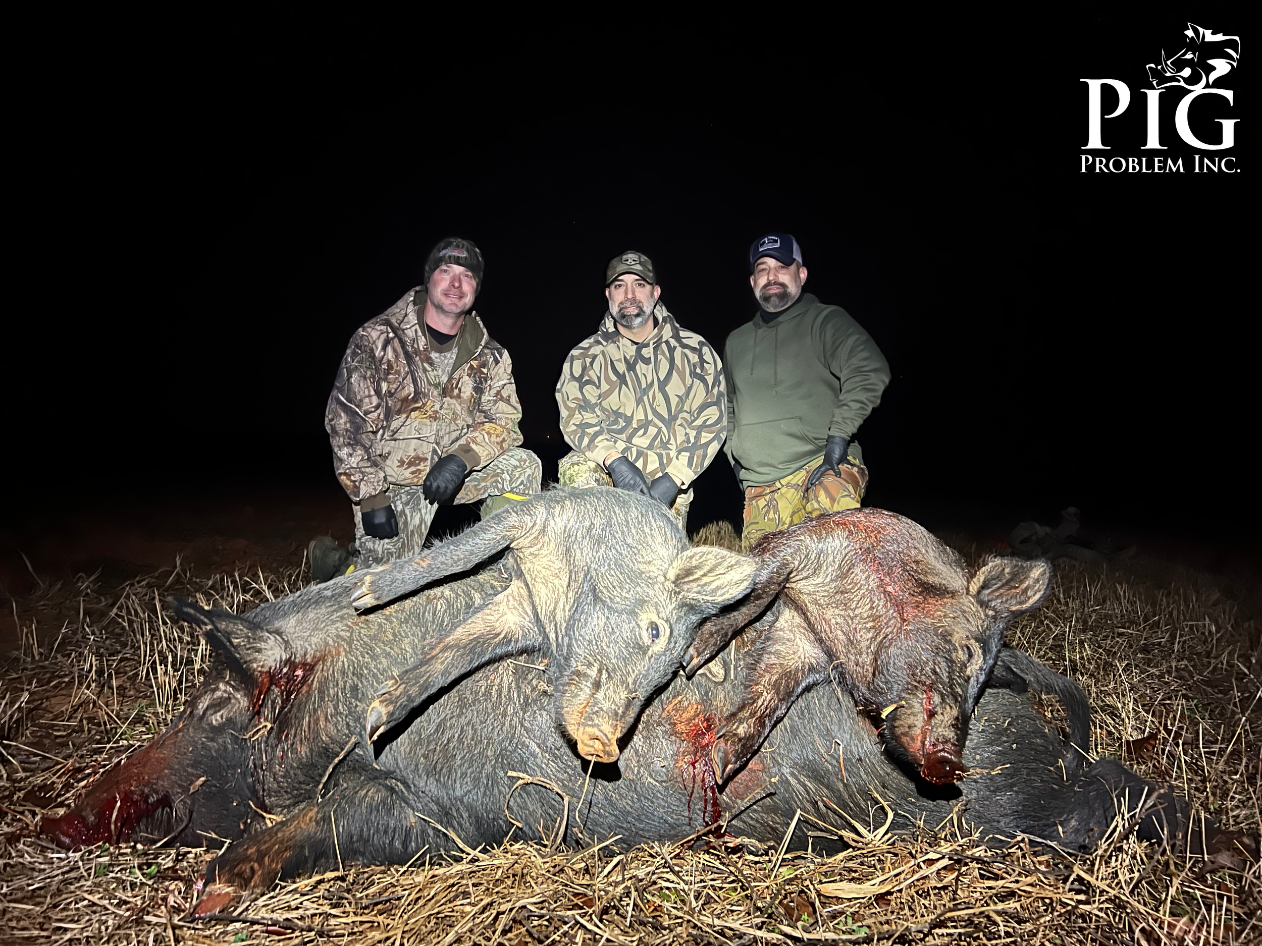 Wild Hogs In Georgia