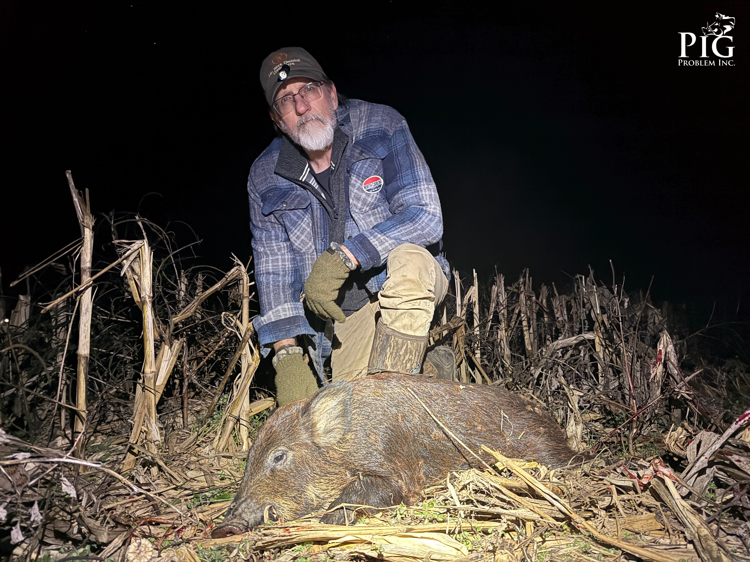 A One-Night Hog Hunt