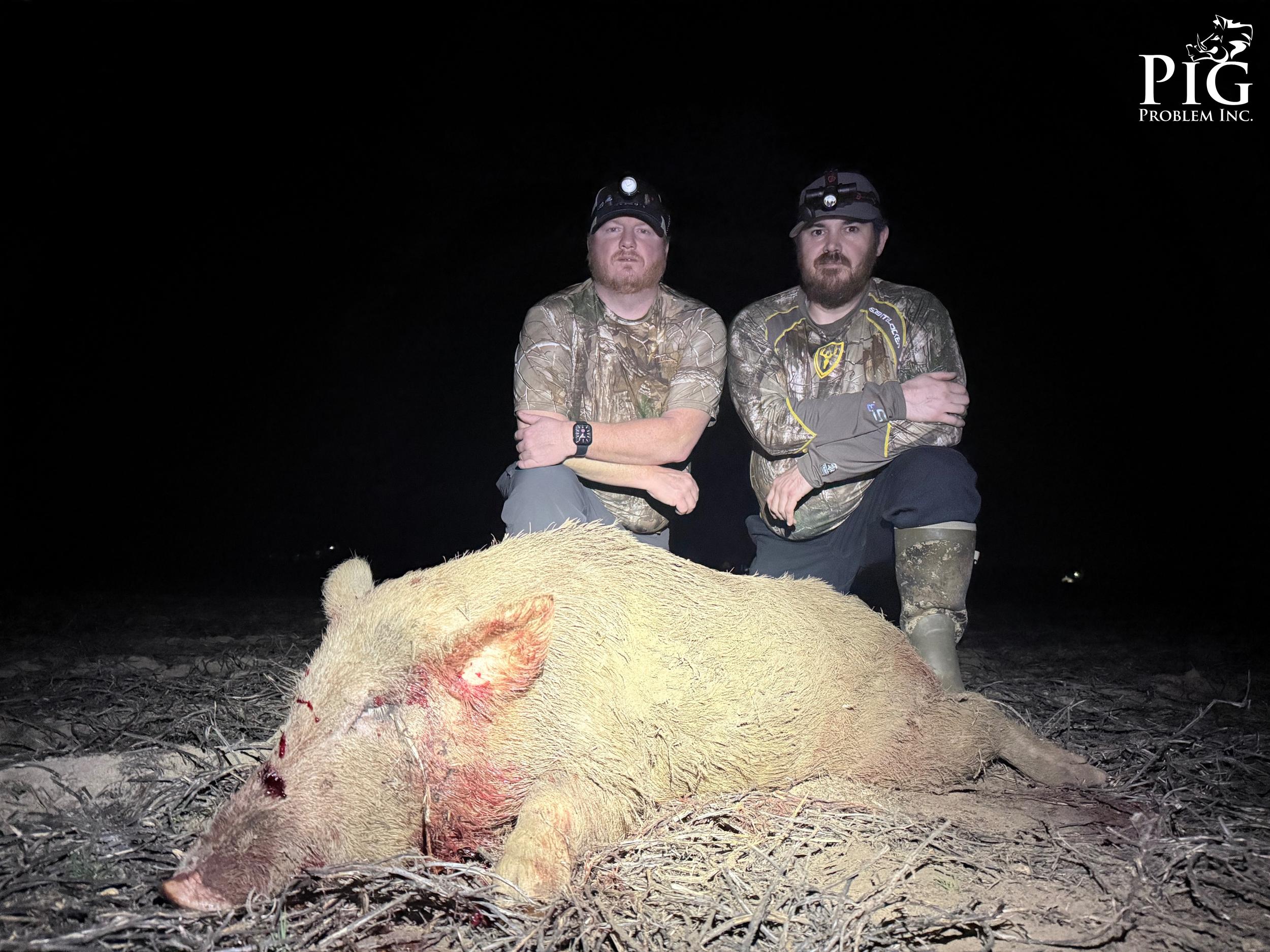 Hog Hunting