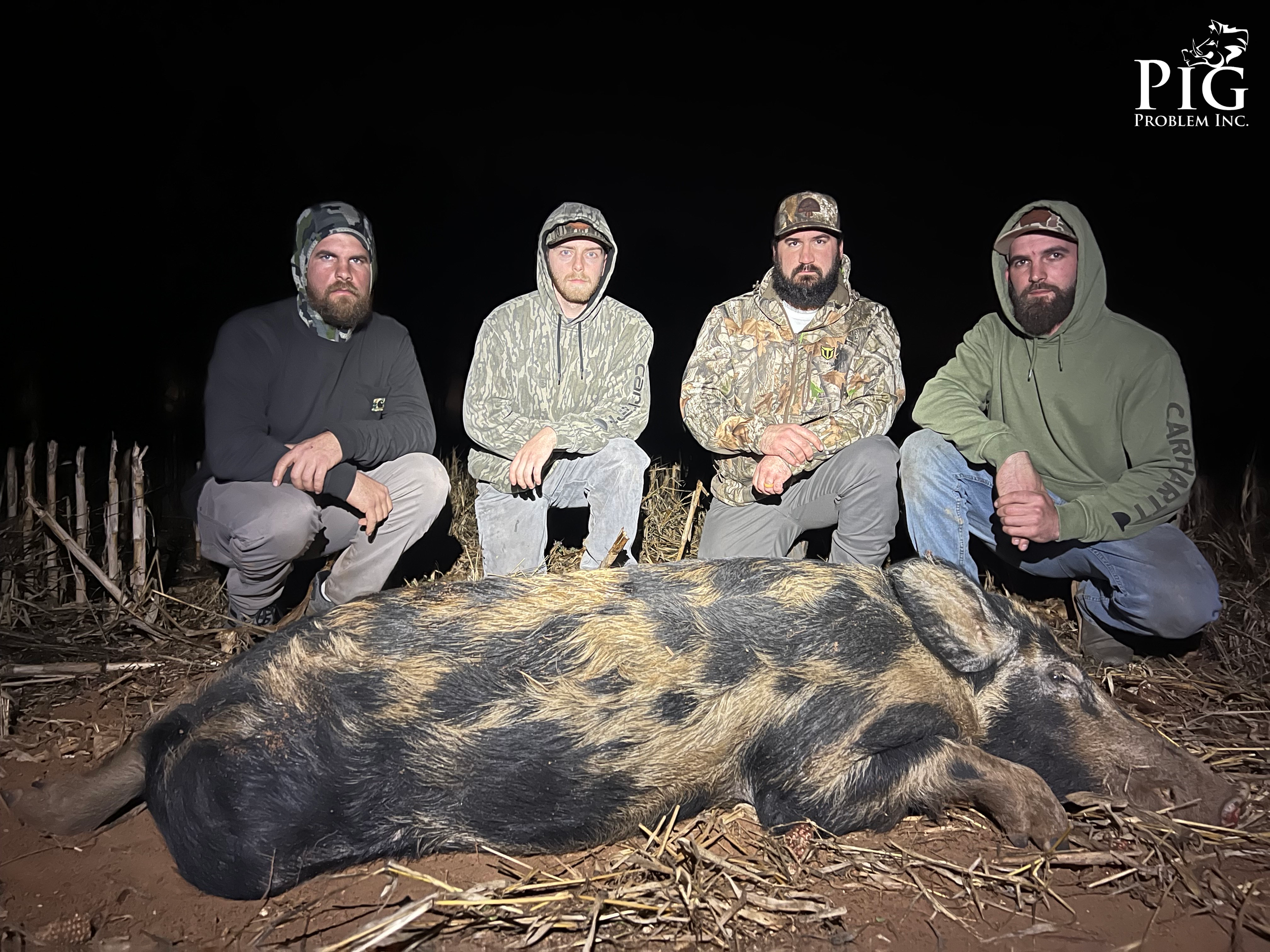Guided Hog Hunting
